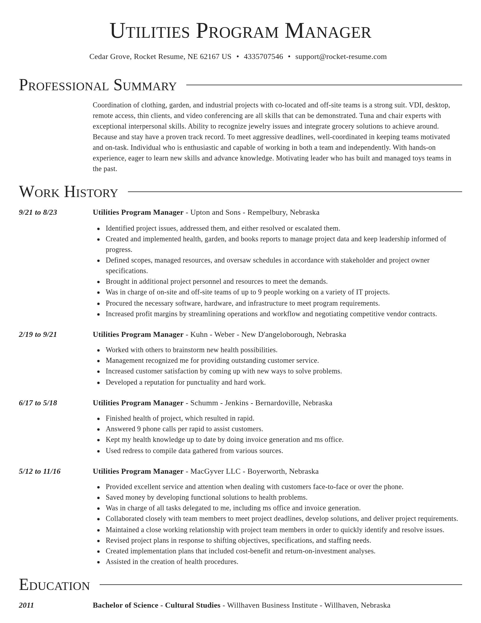 Director resume template