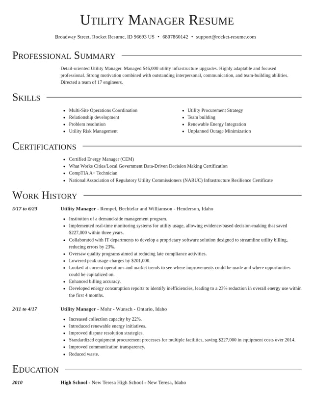 Director resume template