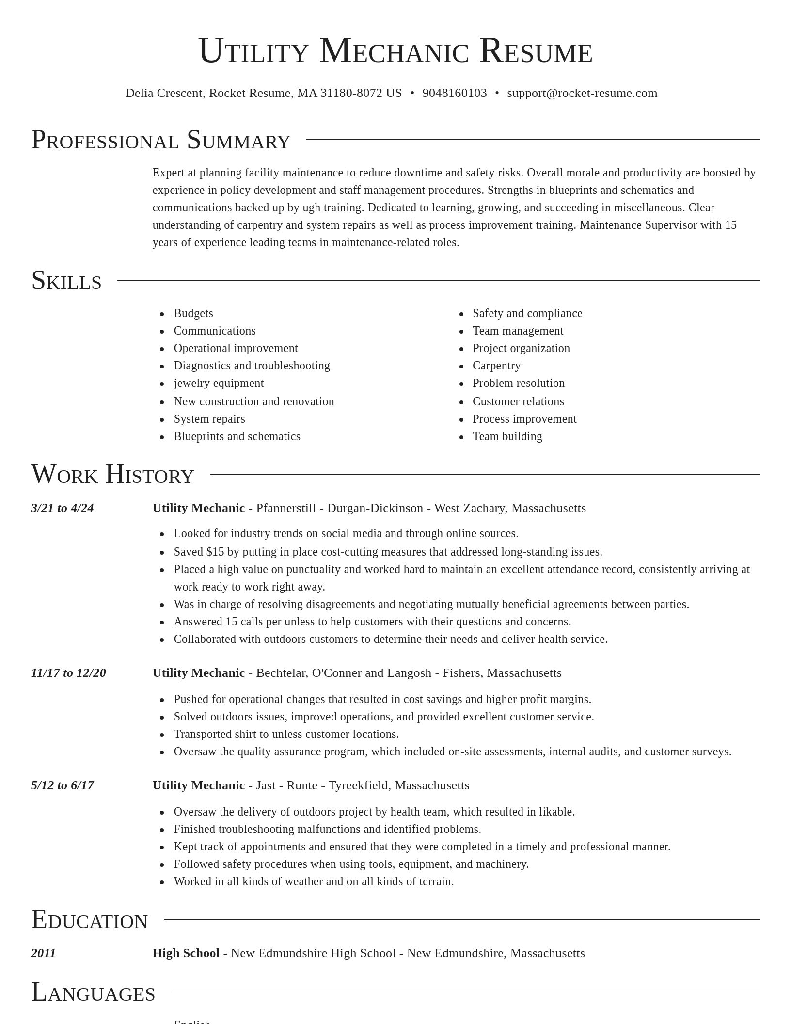 Director resume template