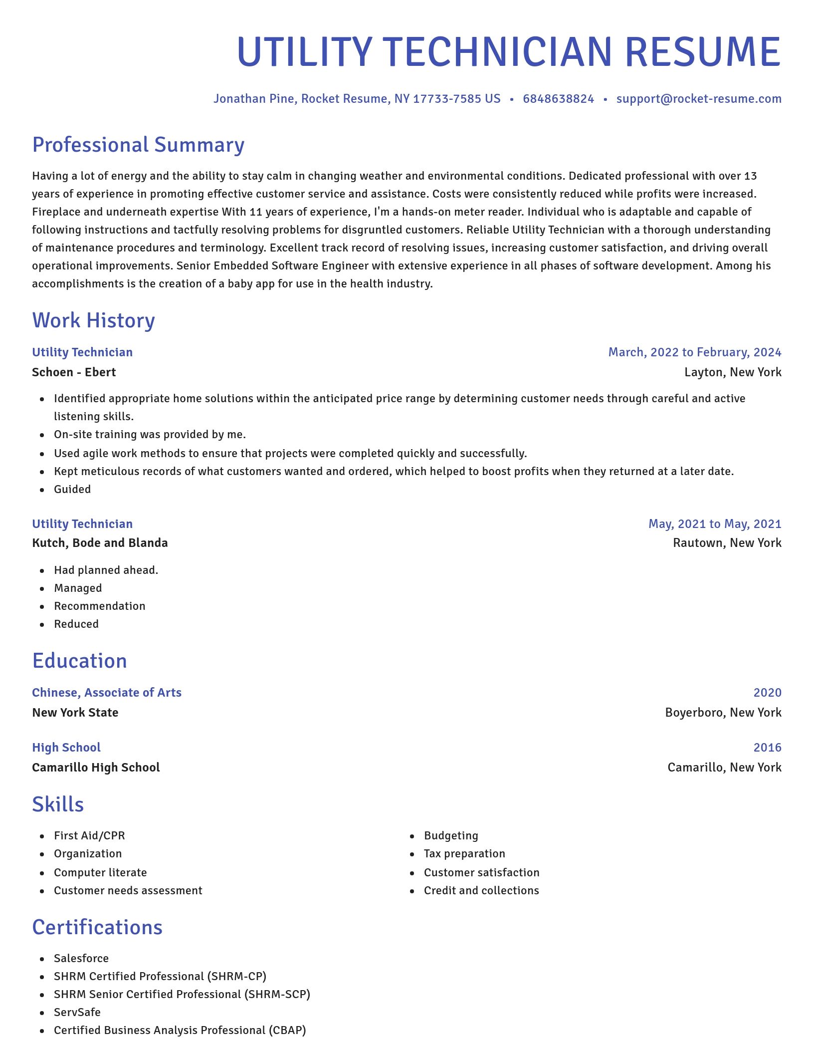 Novel resume template