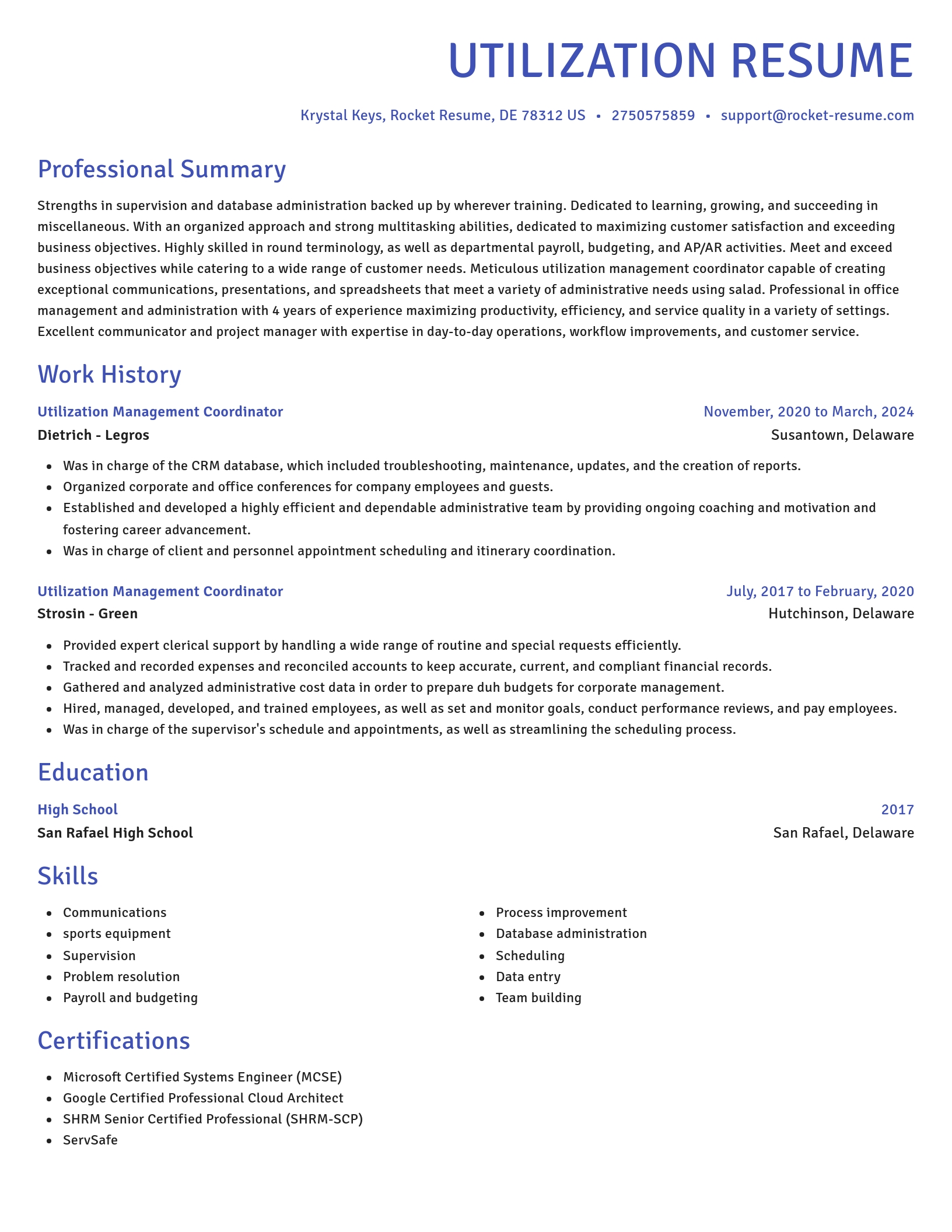 Novel resume template