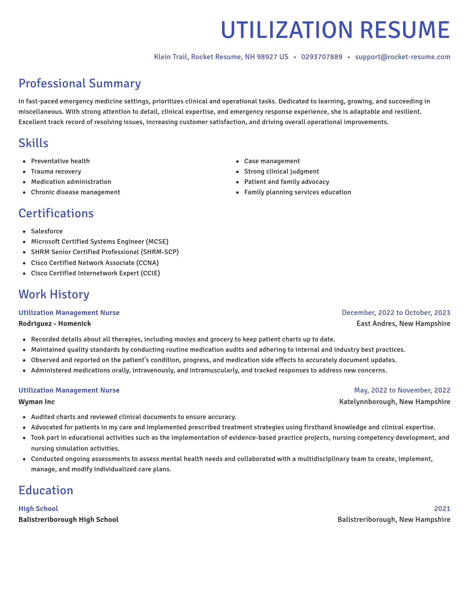 Novel resume template