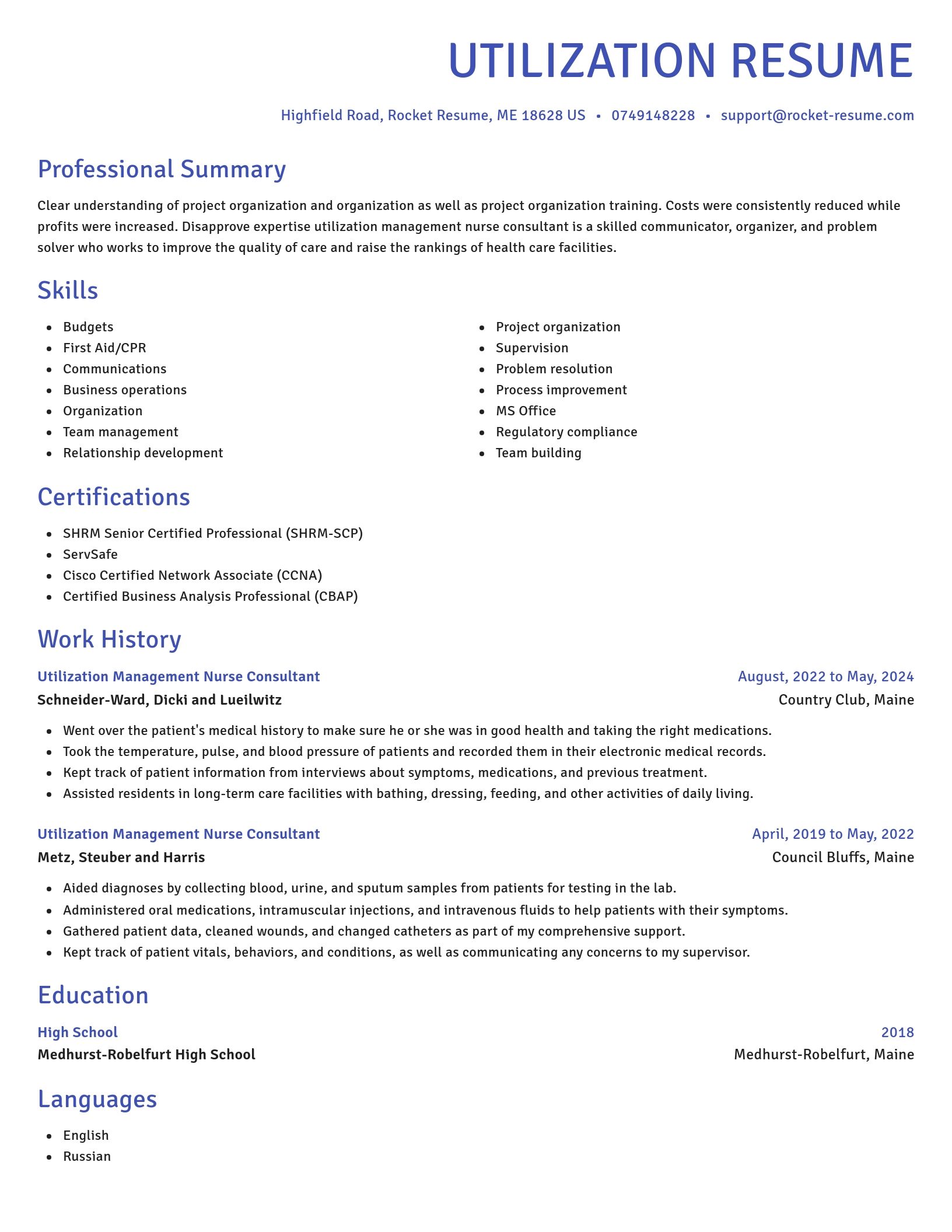 Novel resume template