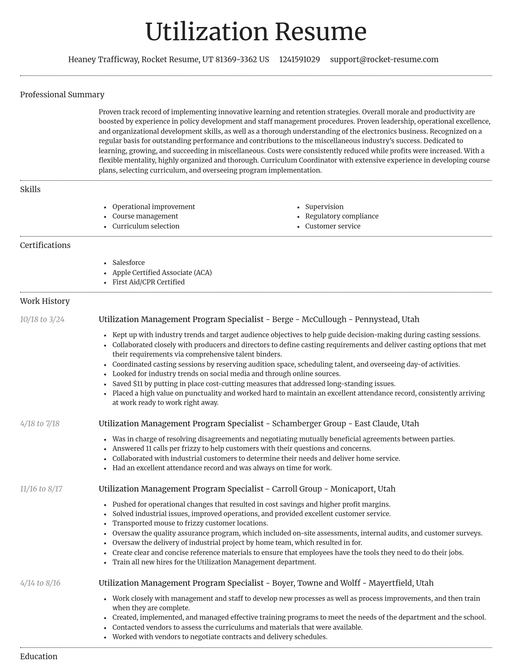 Dignified resume template