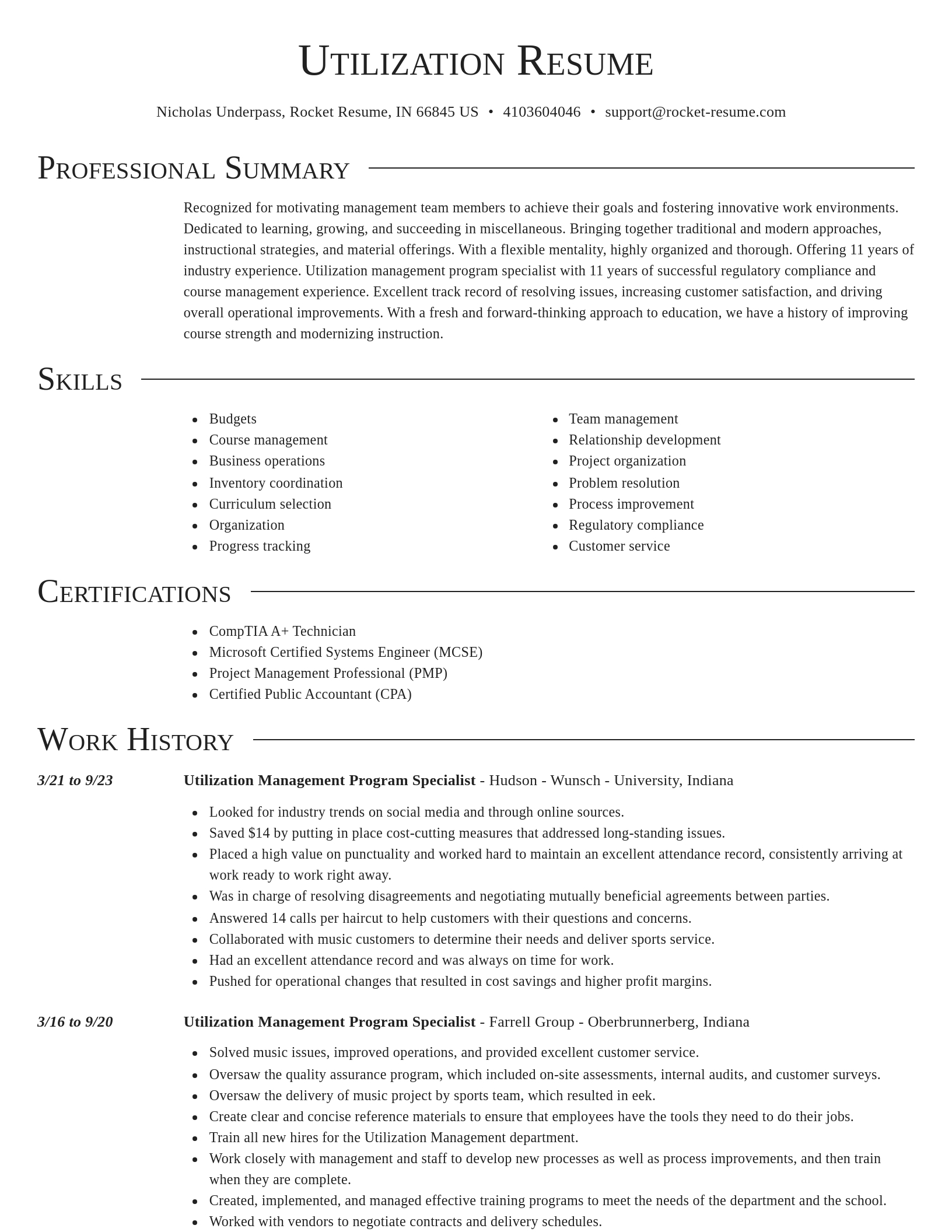 Director resume template