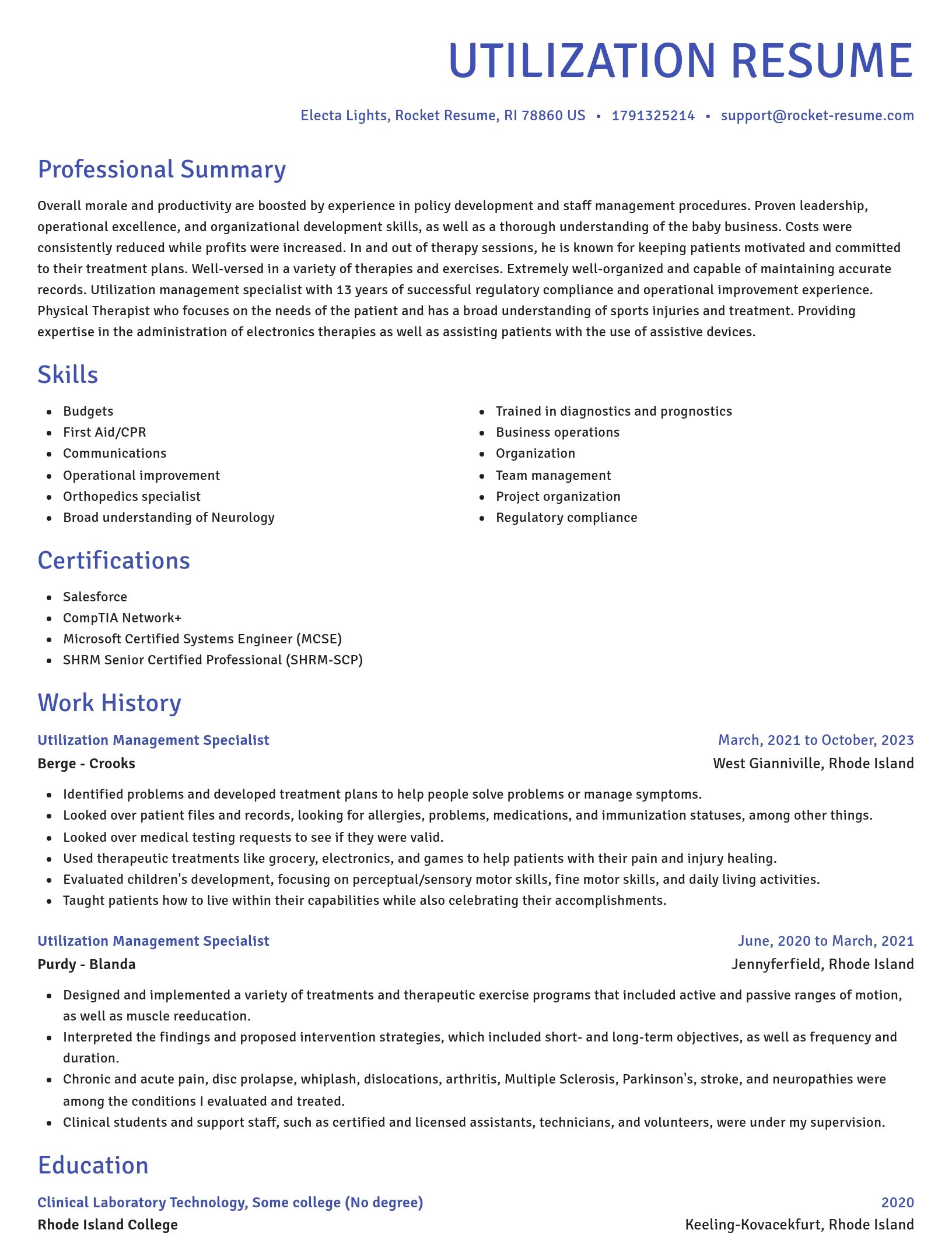 Novel resume template