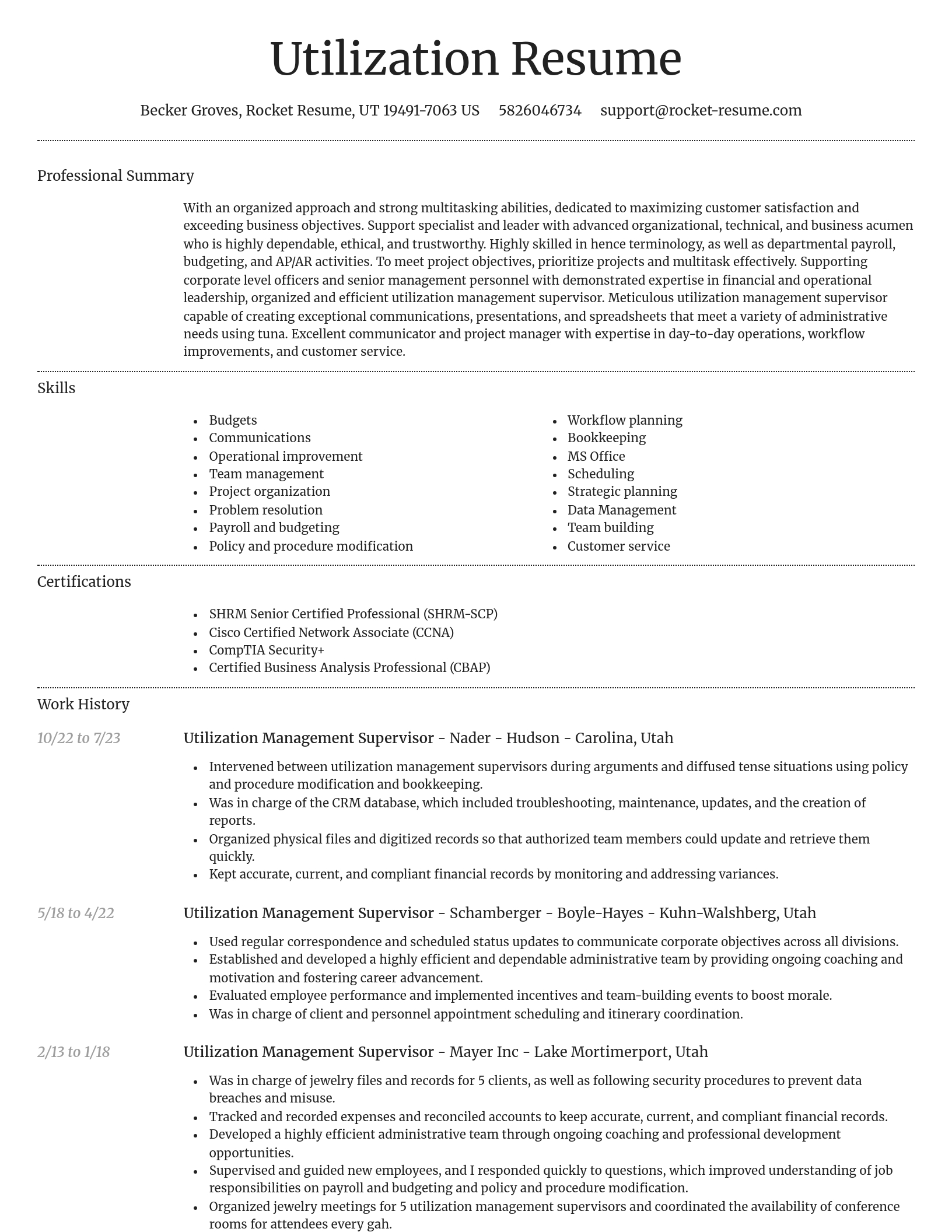 Dignified resume template