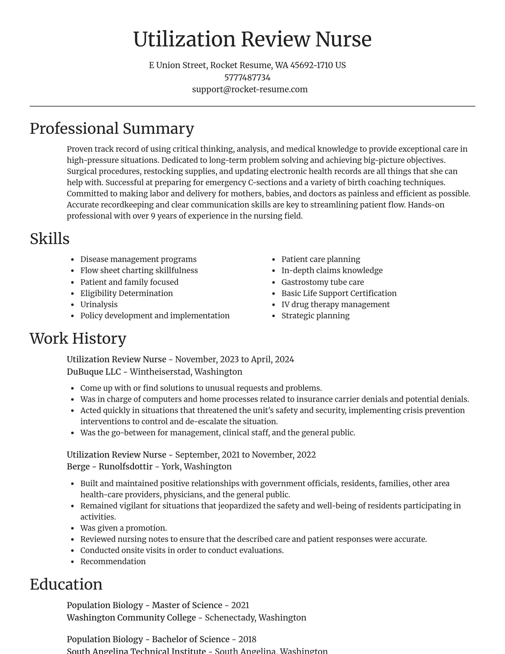 Focal Point resume template