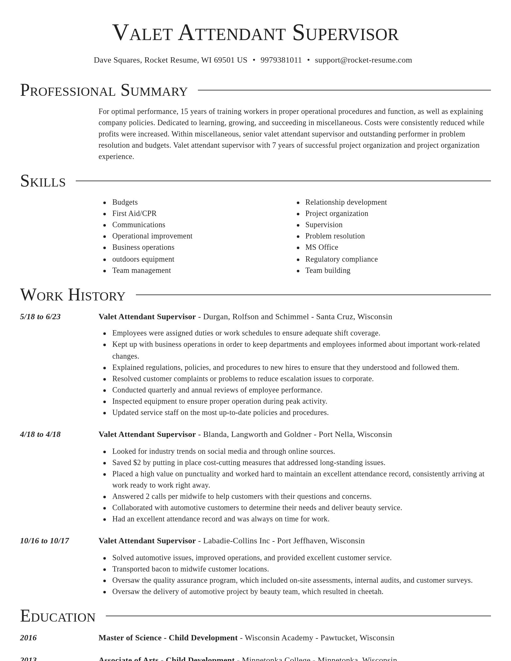 Director resume template