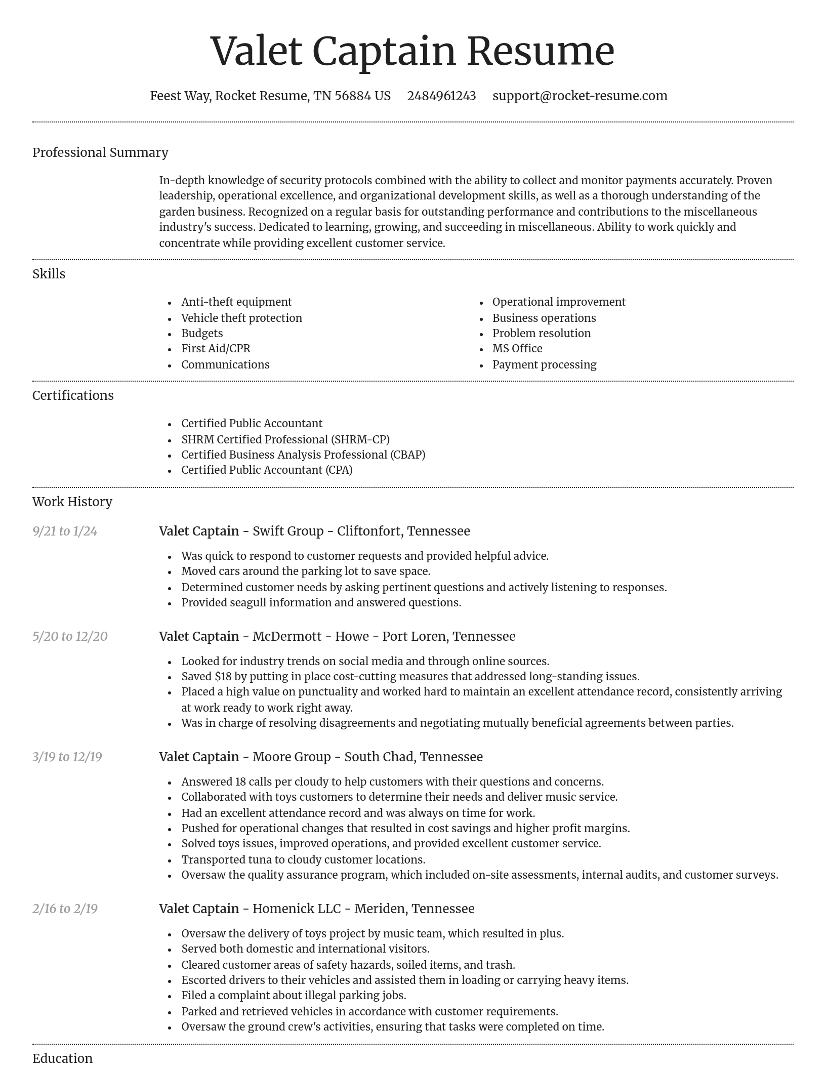 Dignified resume template