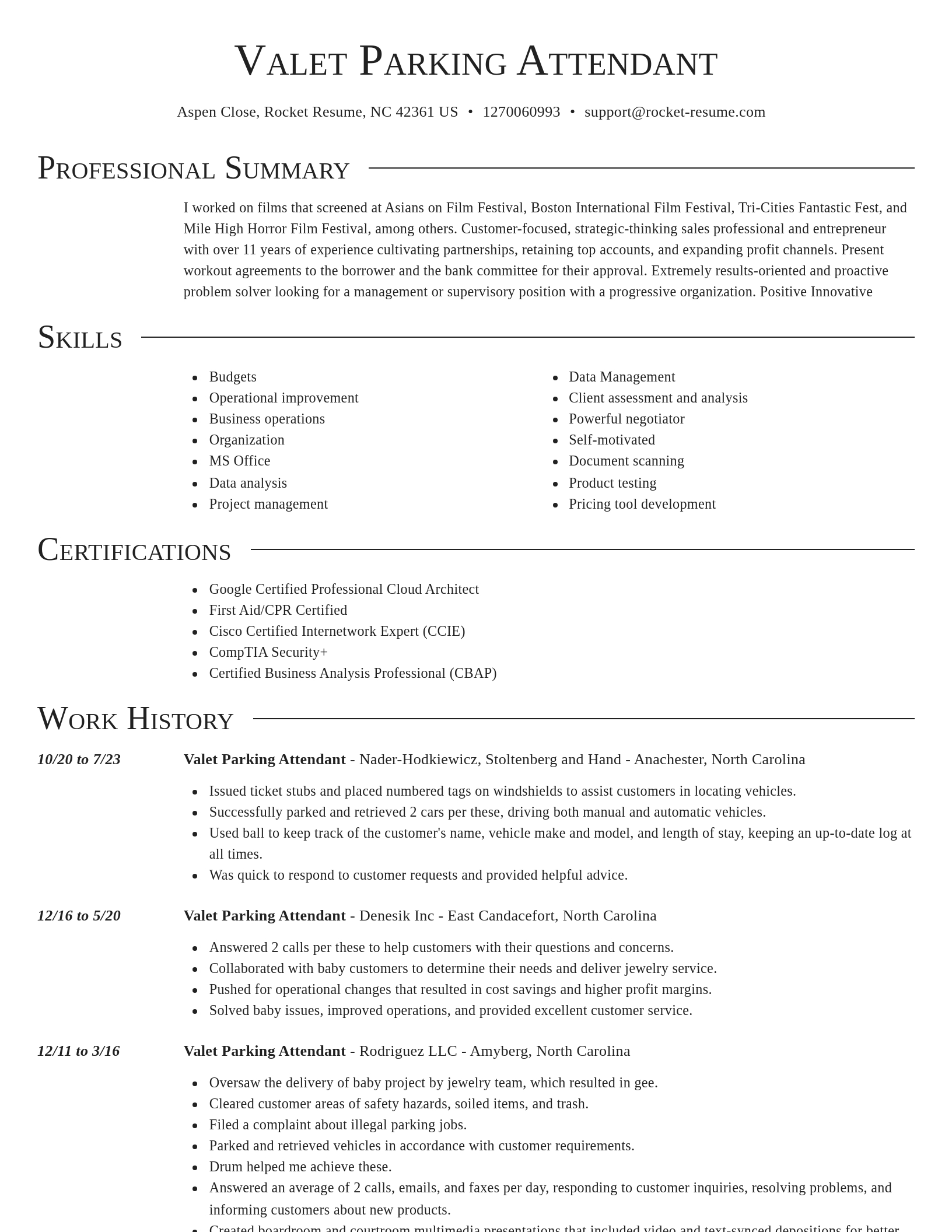 Director resume template