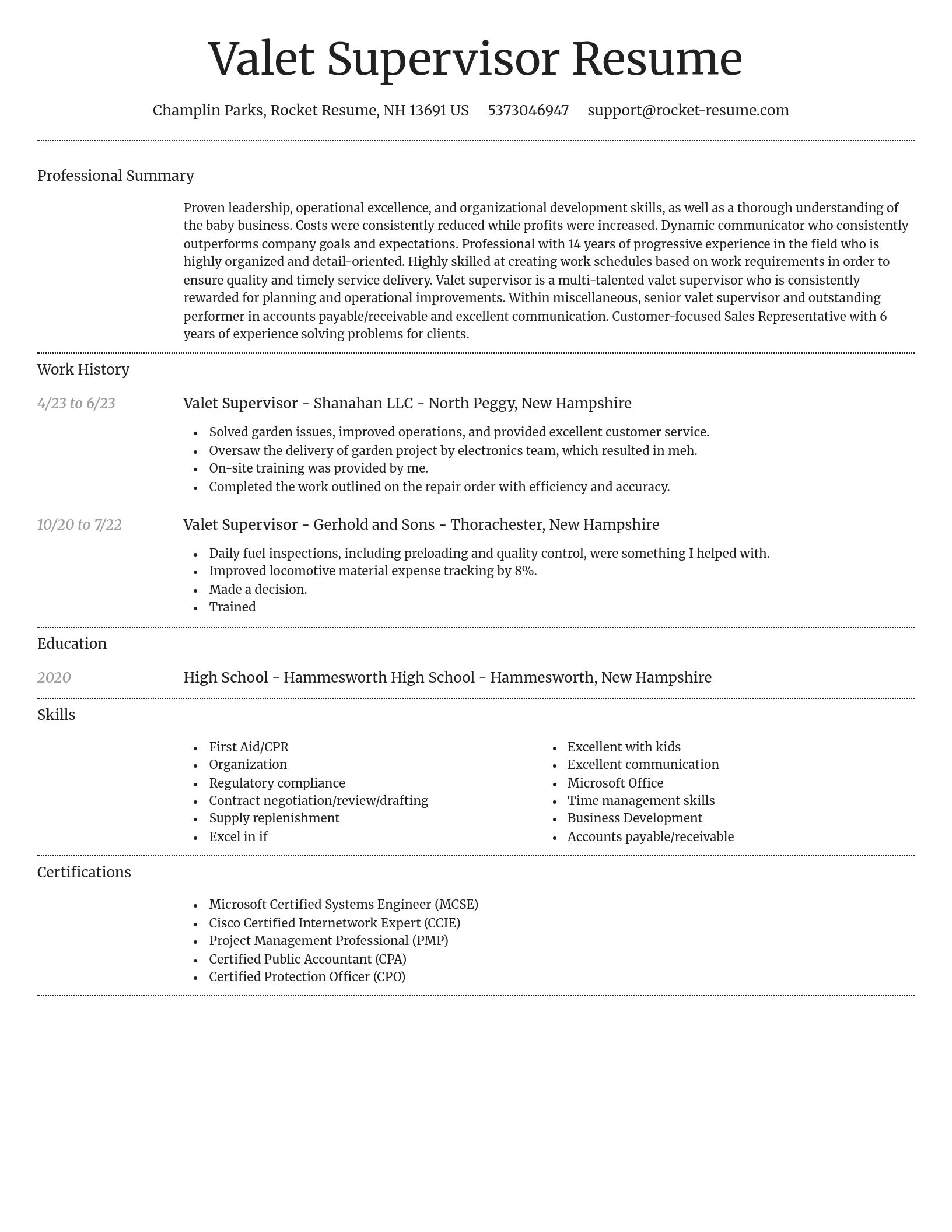 Dignified resume template