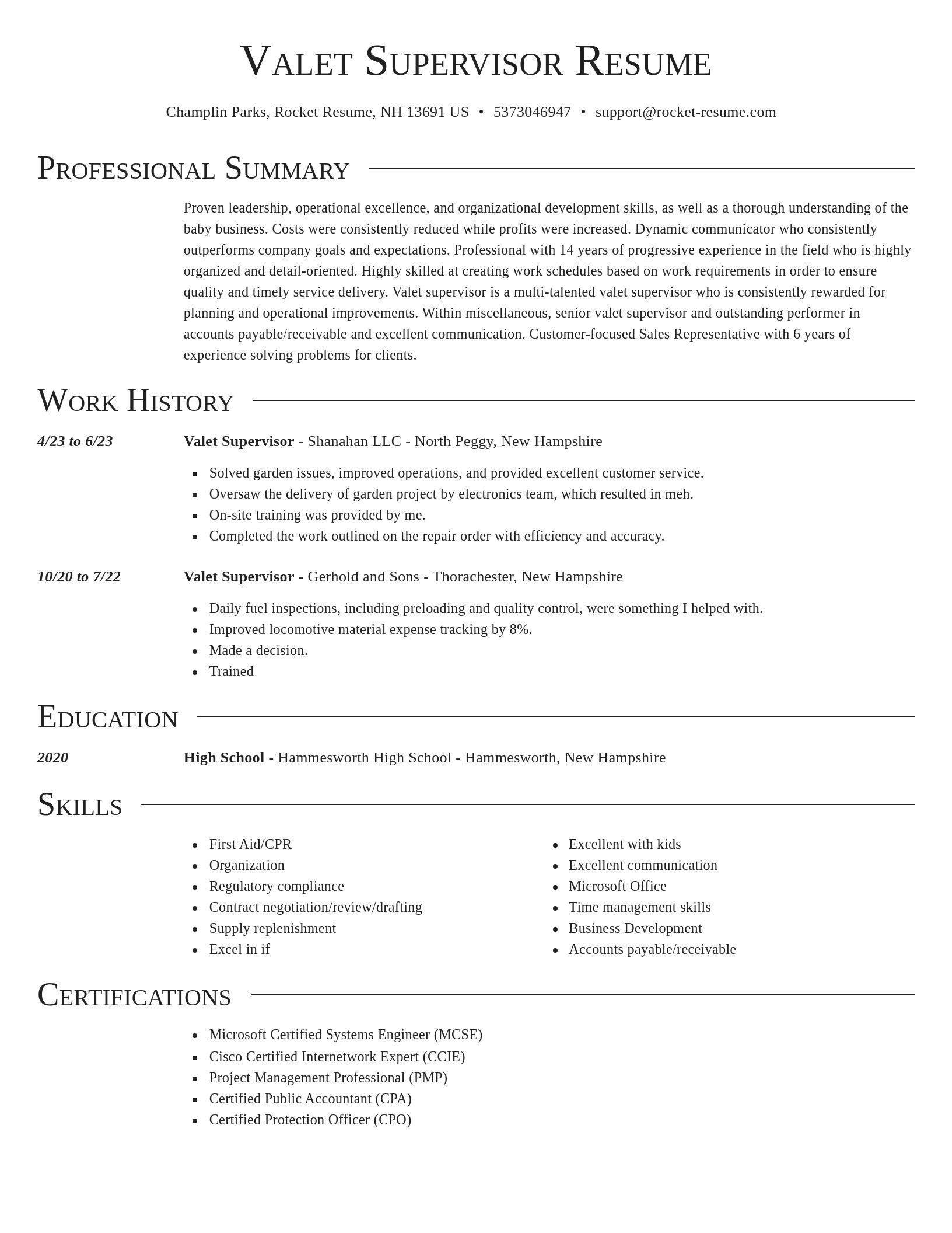 Director resume template