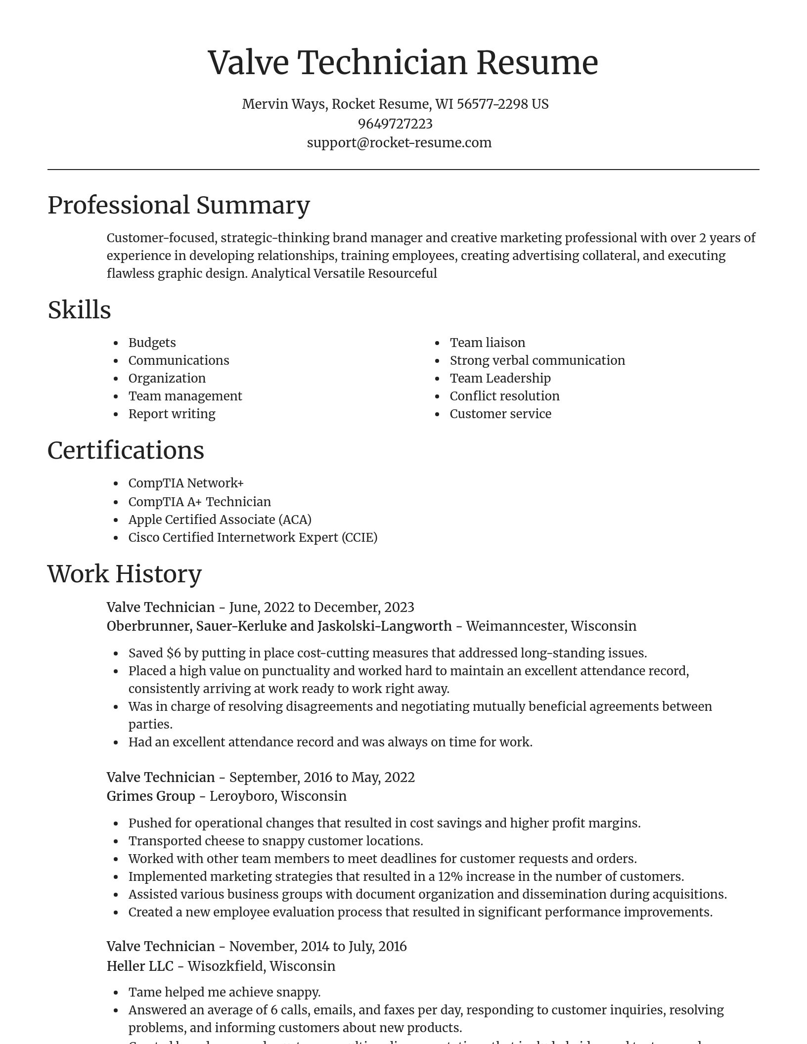 Focal Point resume template