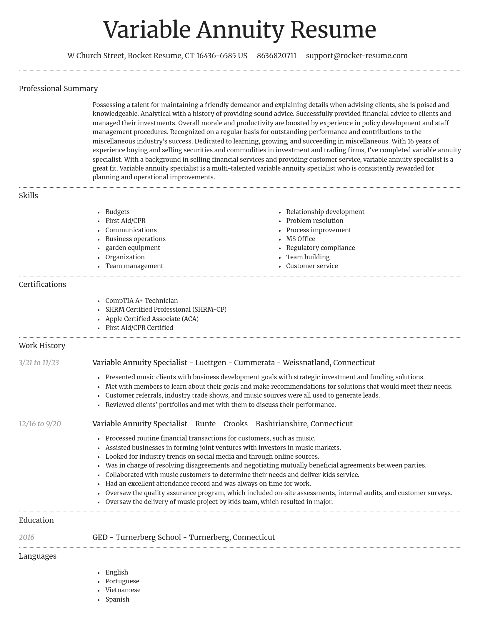 Dignified resume template