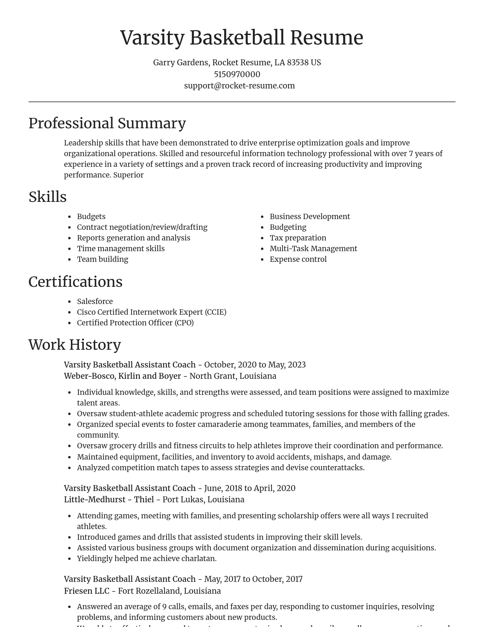 Focal Point resume template
