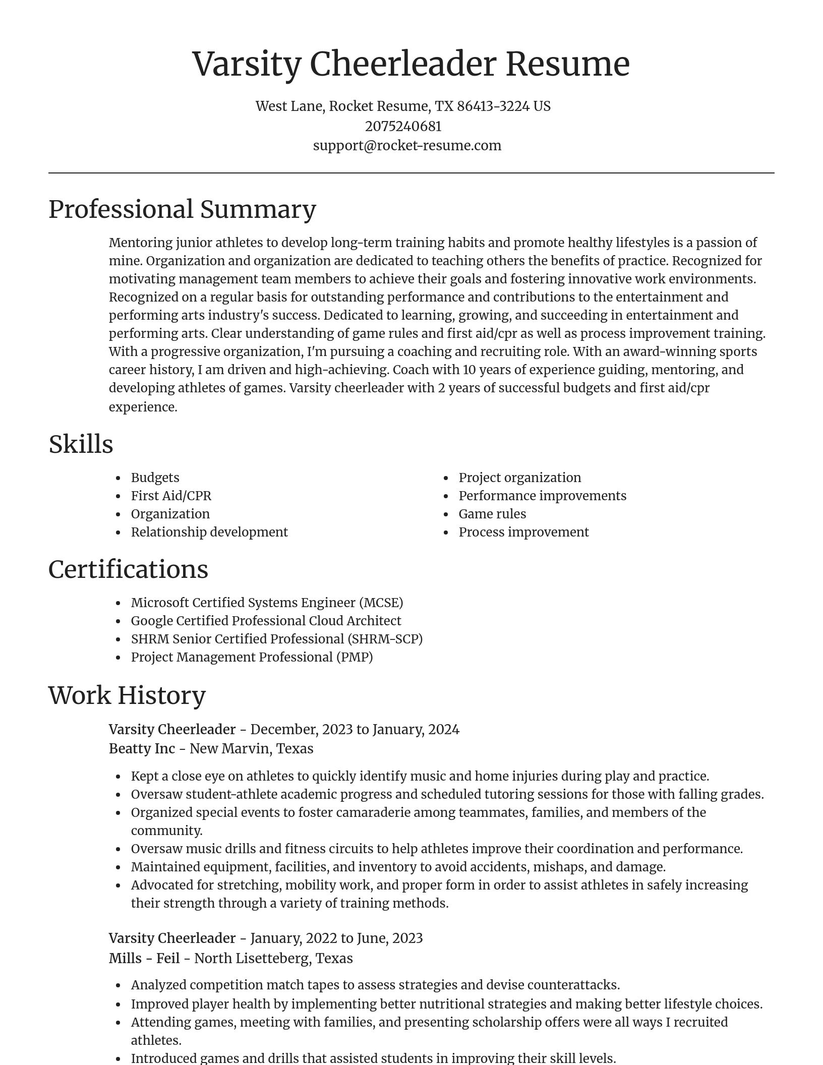 Focal Point resume template