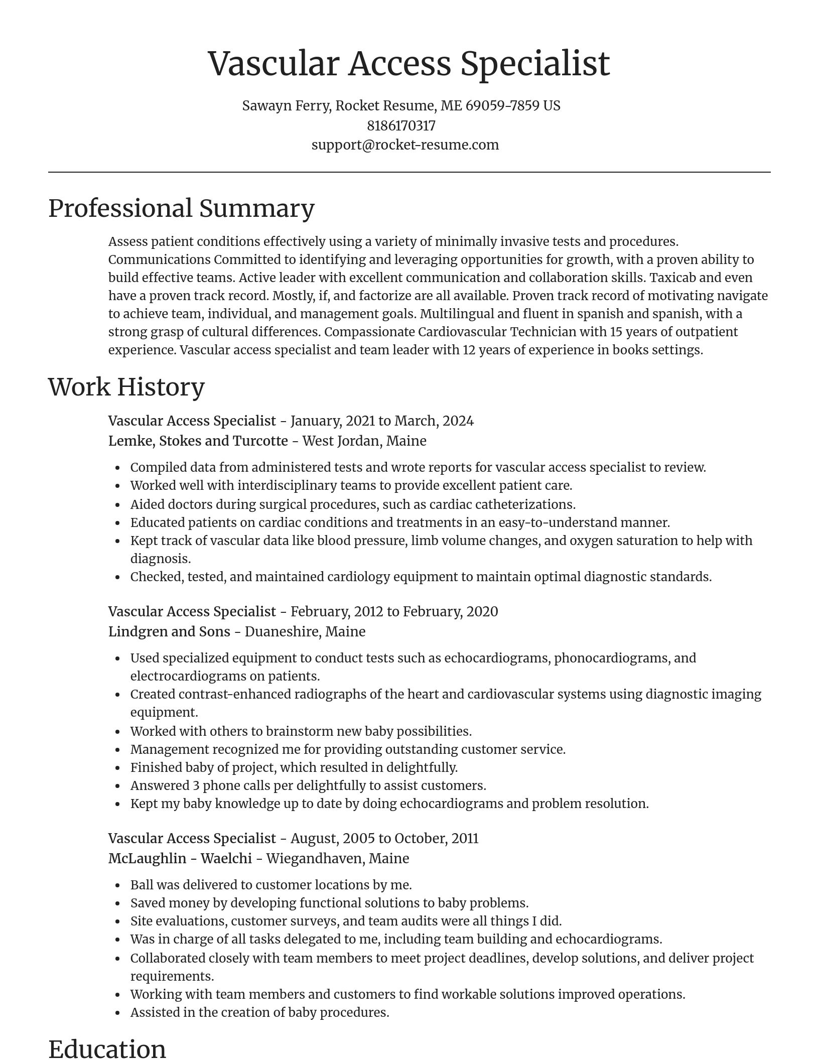 Focal Point resume template