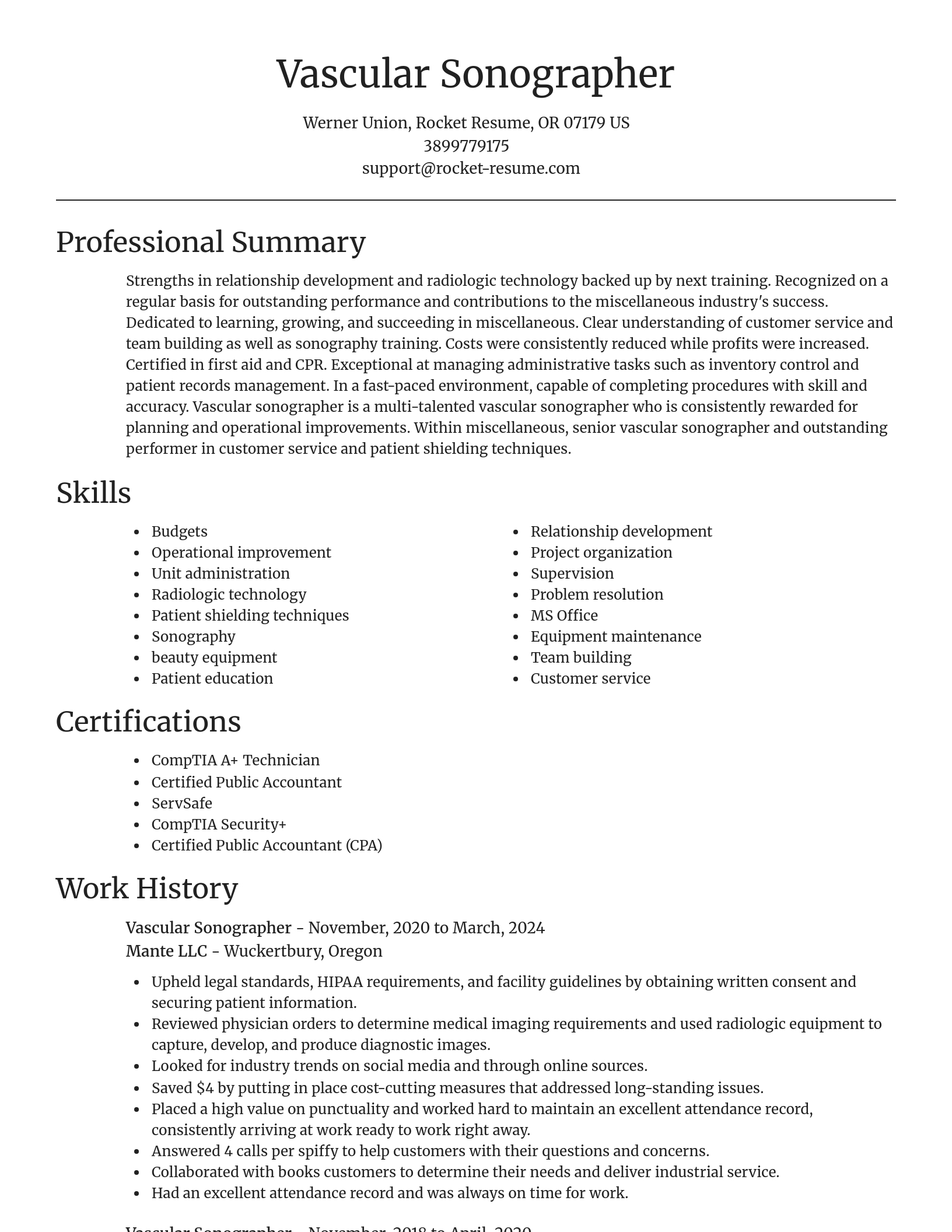 Focal Point resume template