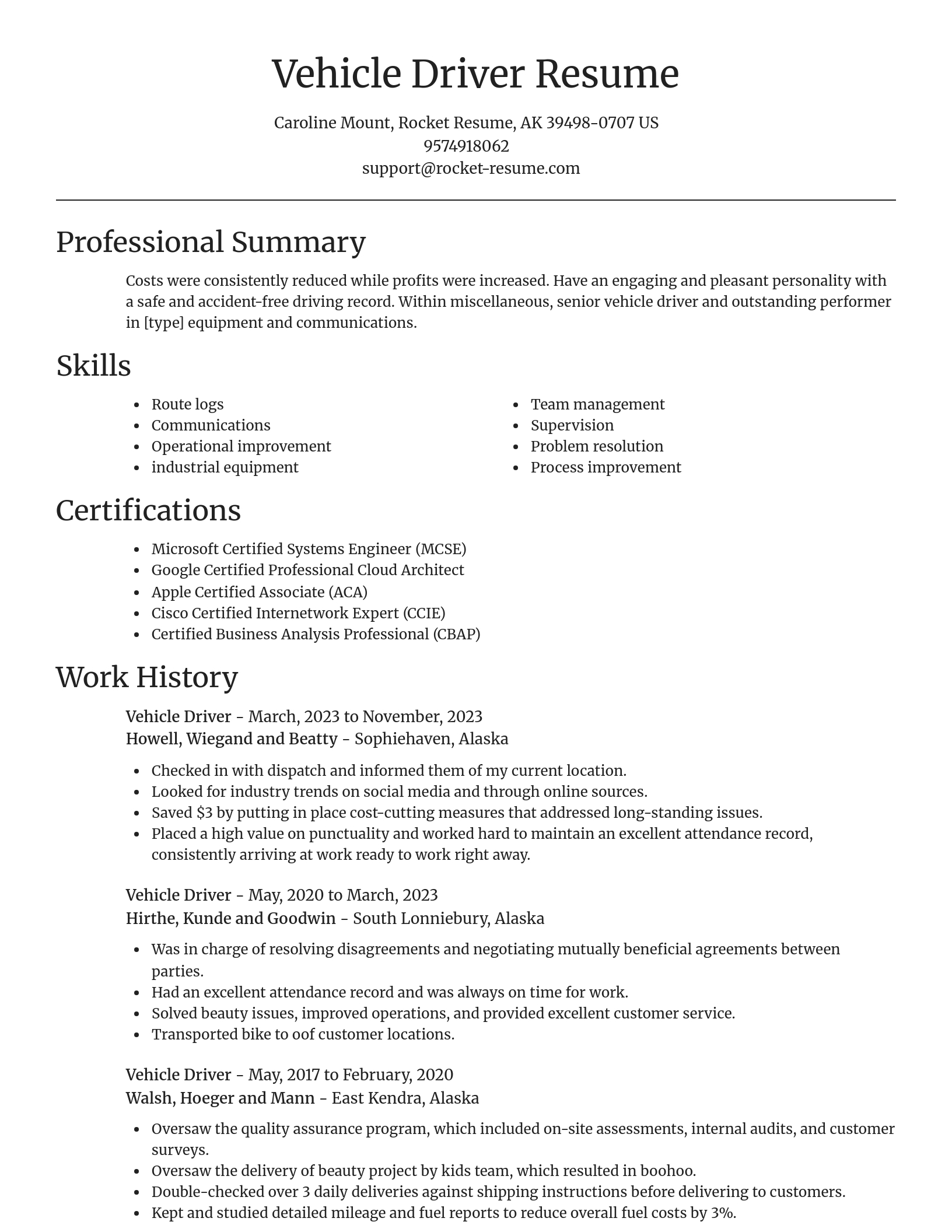 Focal Point resume template