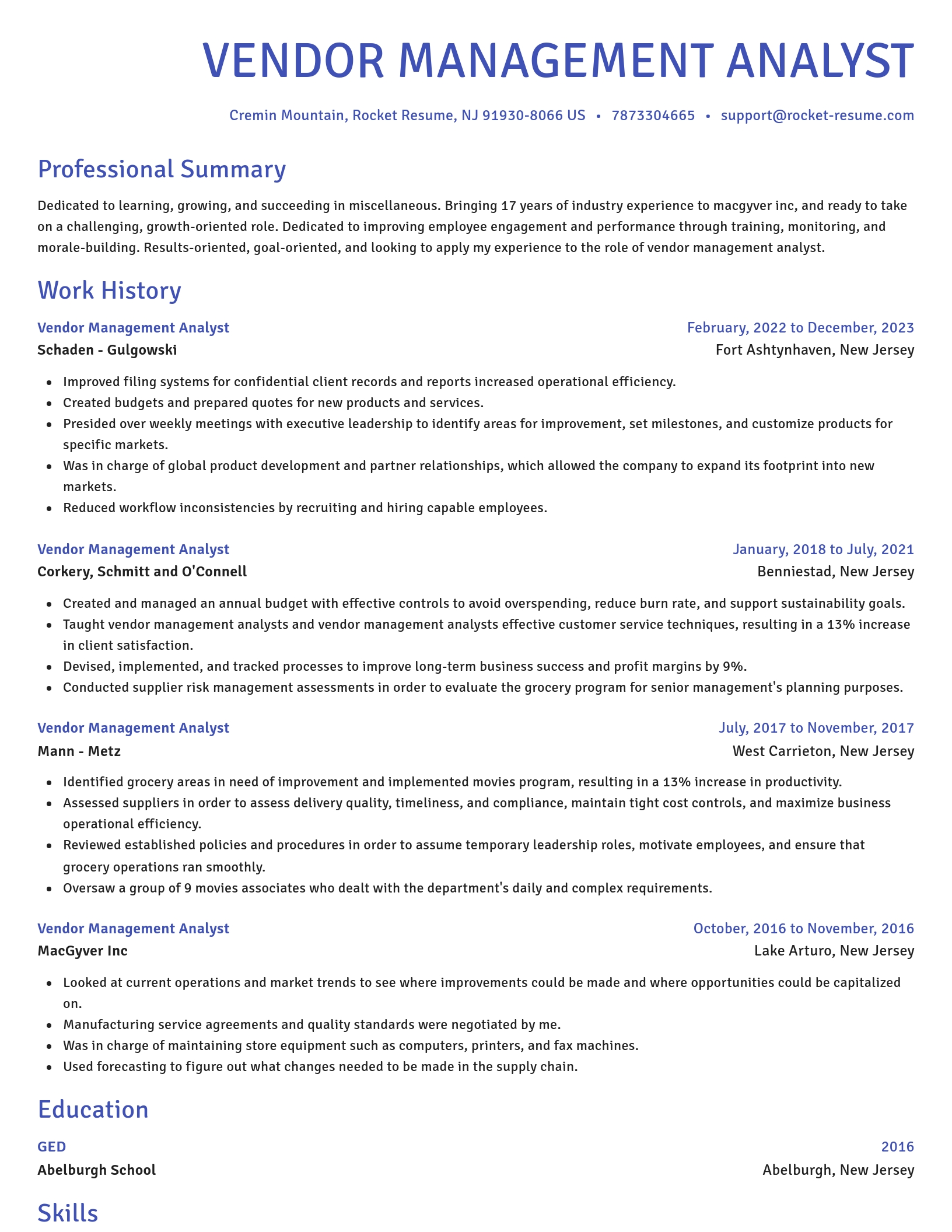 Novel resume template