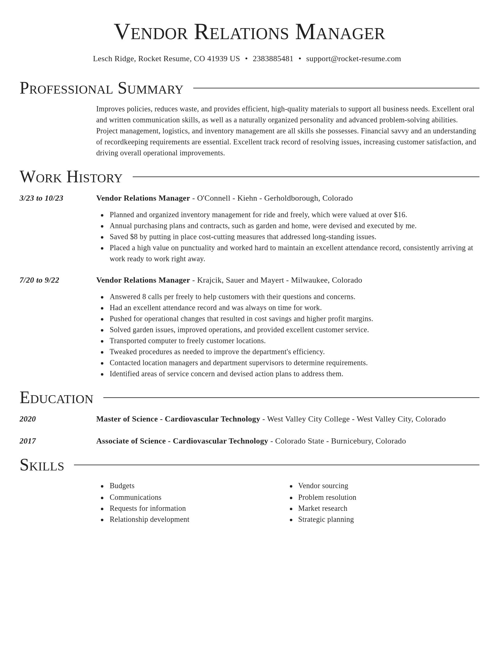 Director resume template