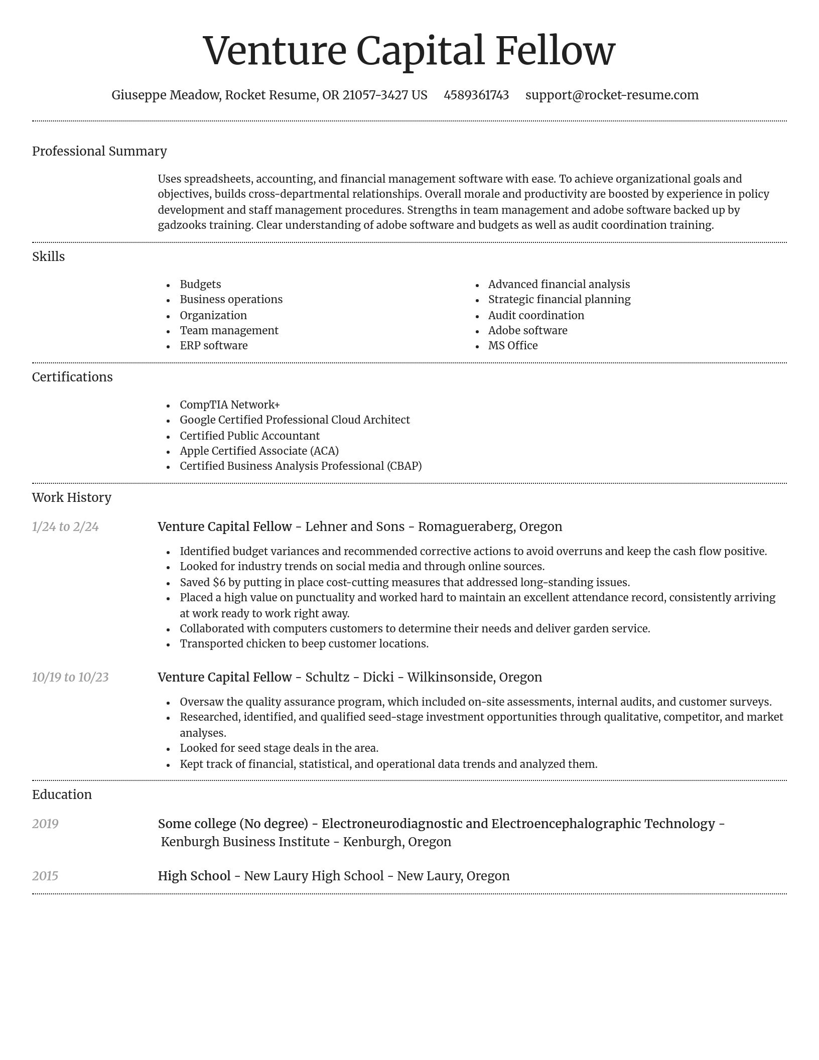 Dignified resume template