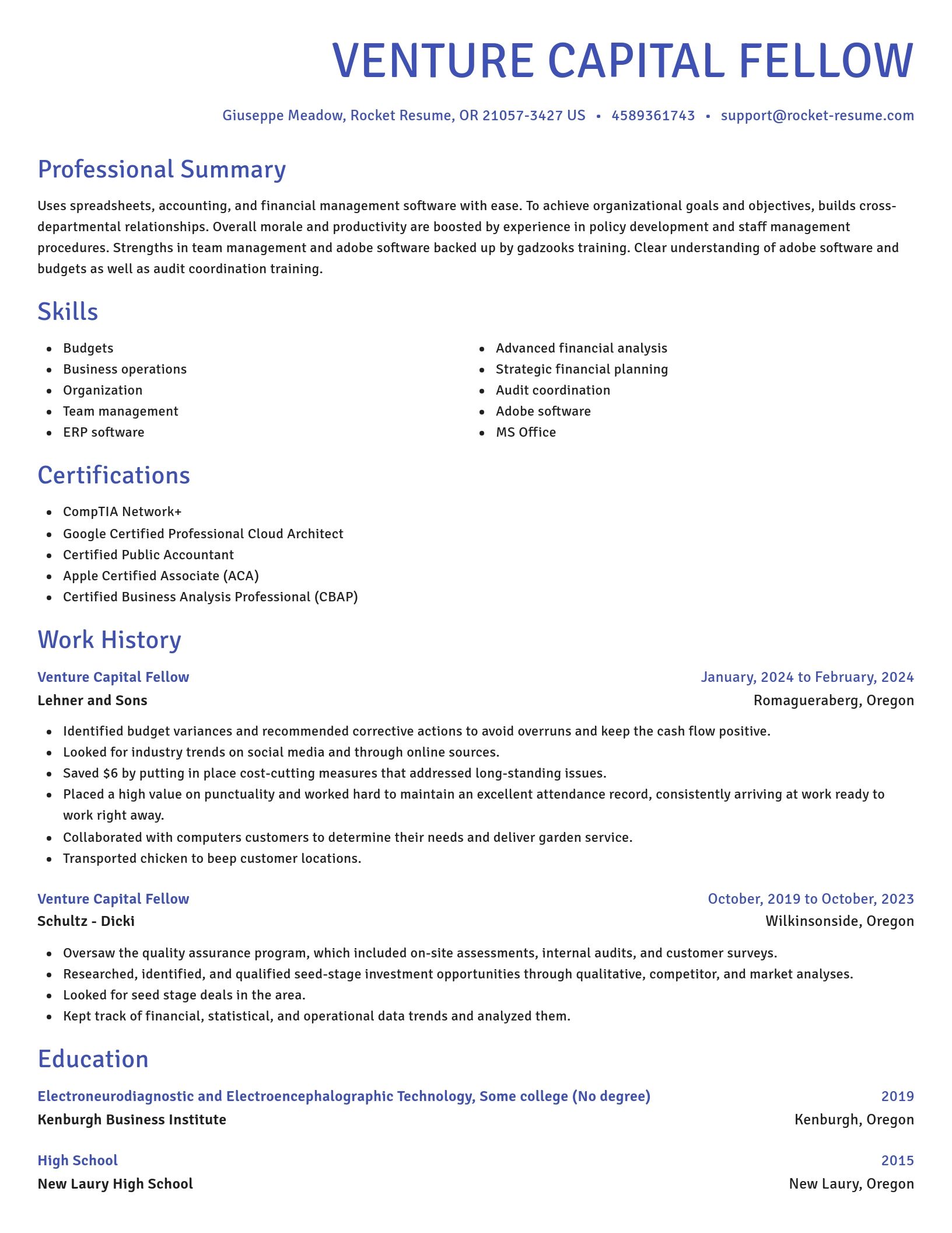 Novel resume template