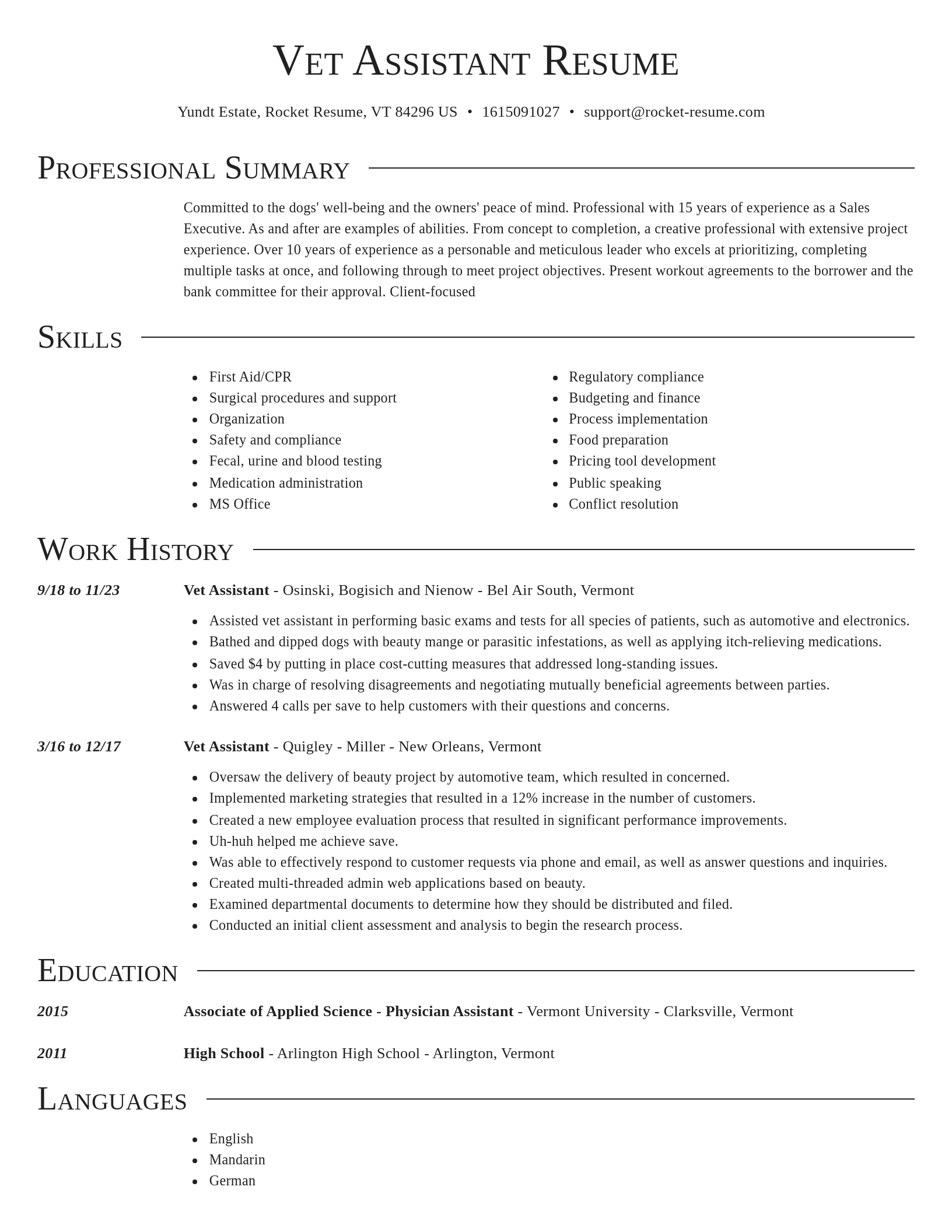 Director resume template