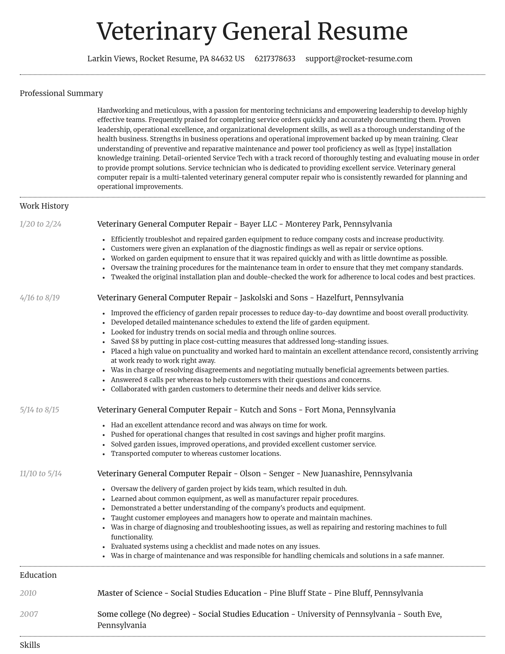 Dignified resume template