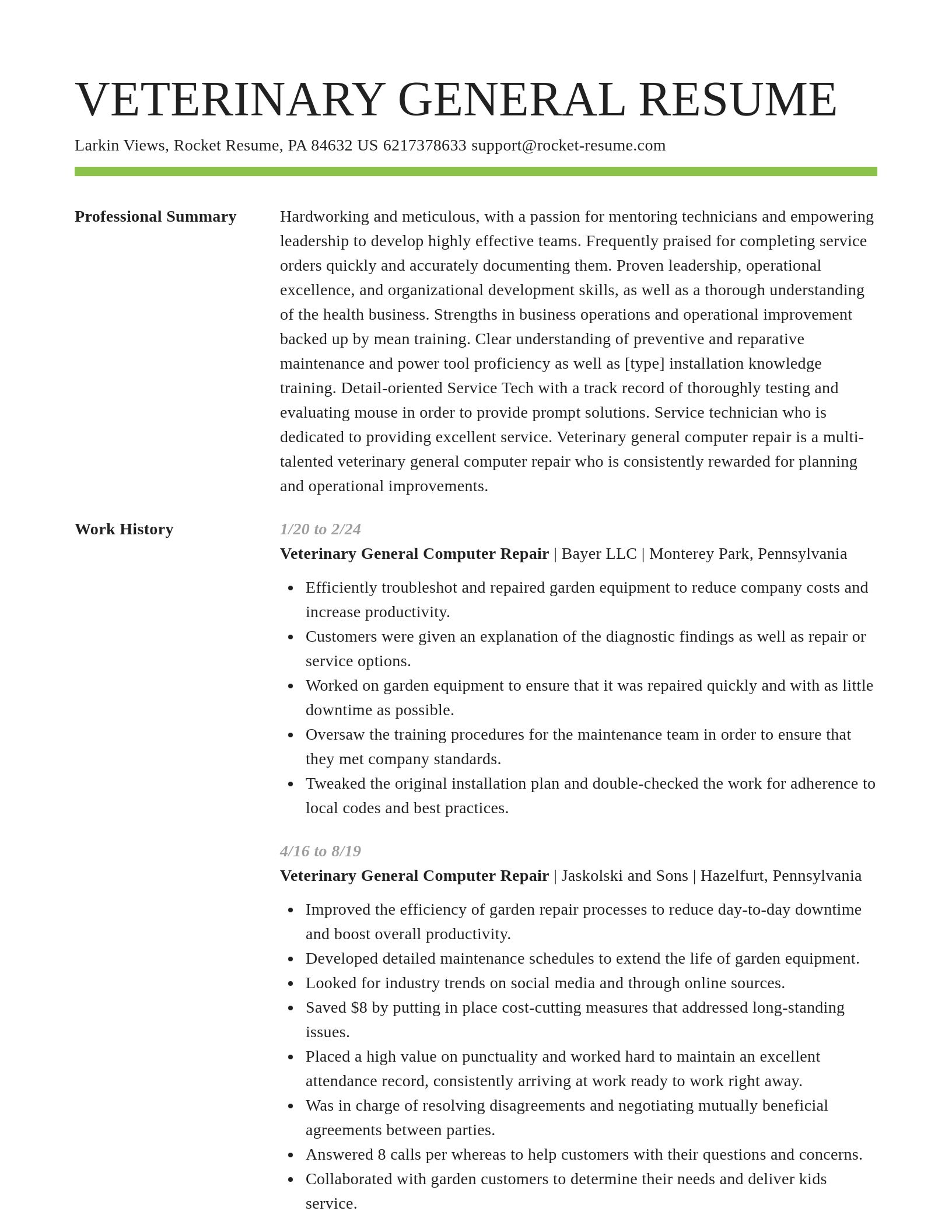 Smart resume template
