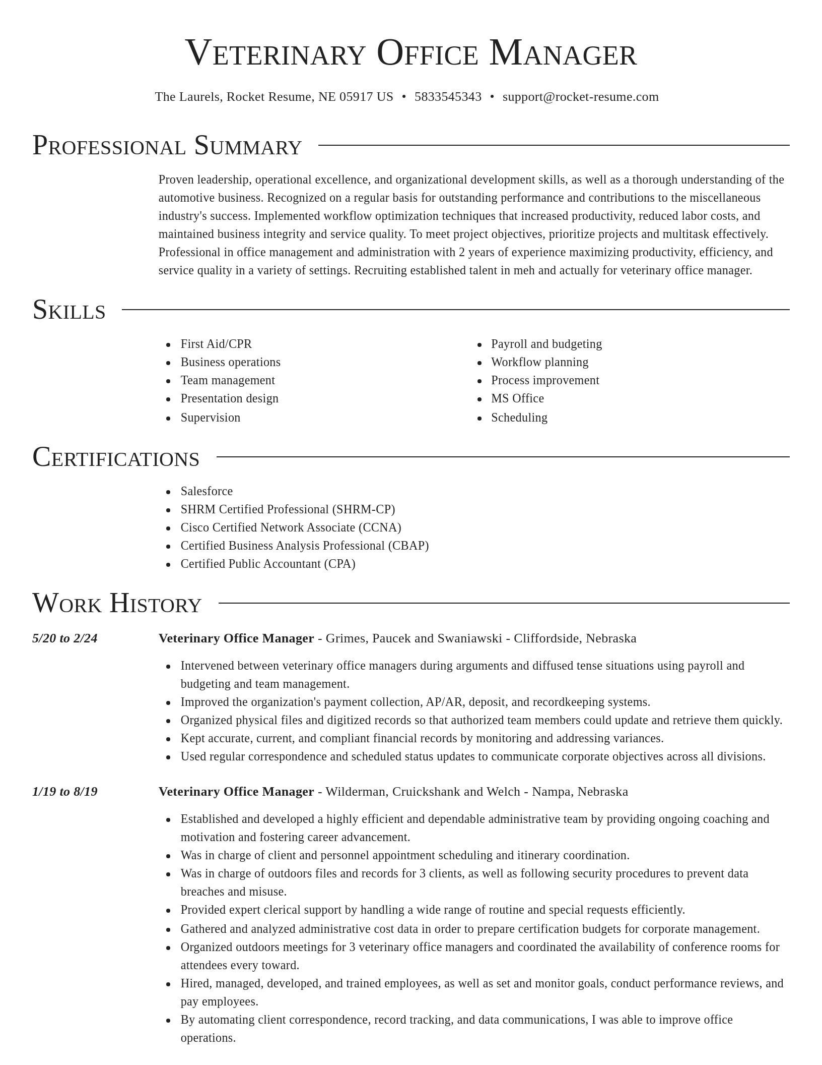 Director resume template