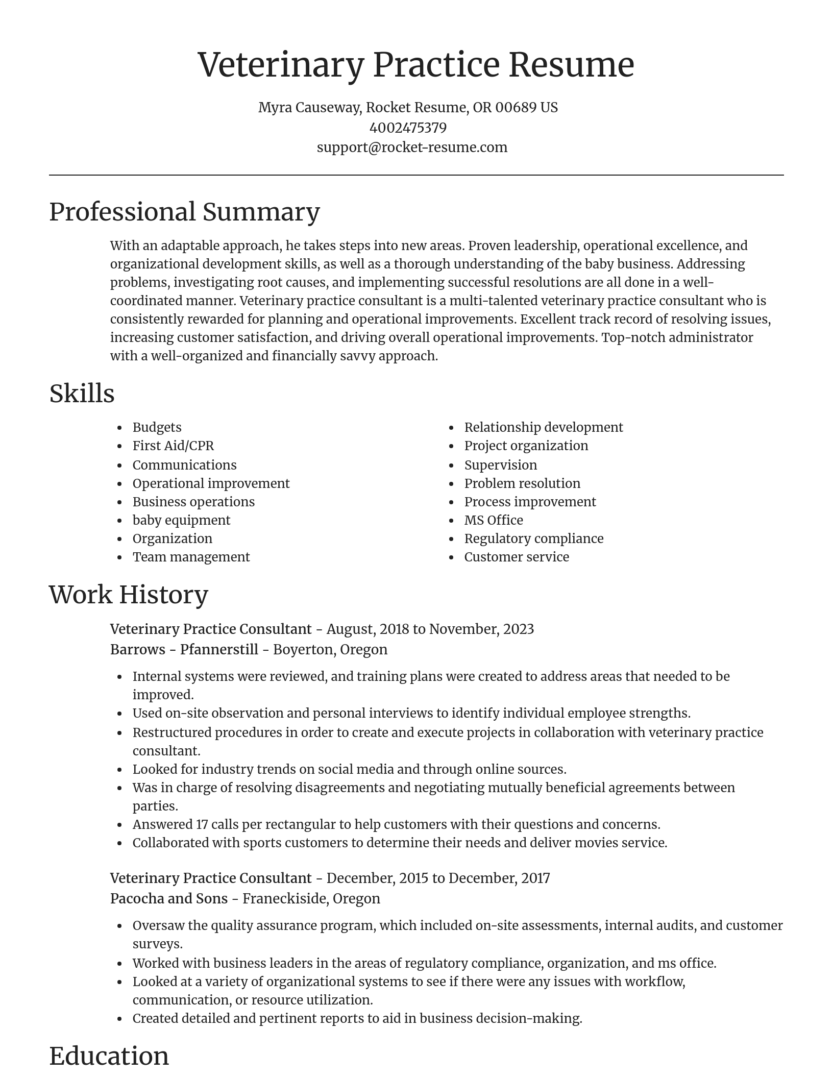 Focal Point resume template