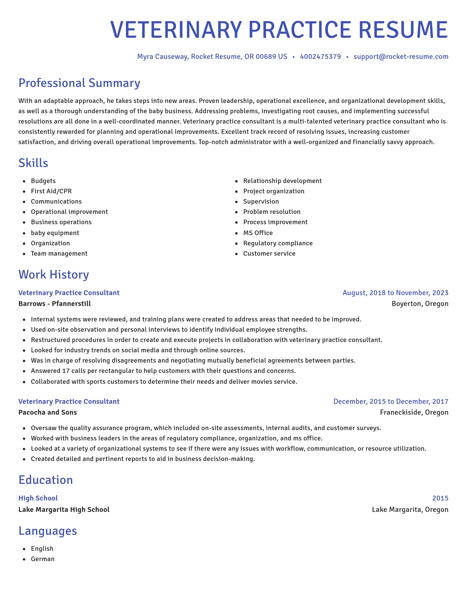 Novel resume template