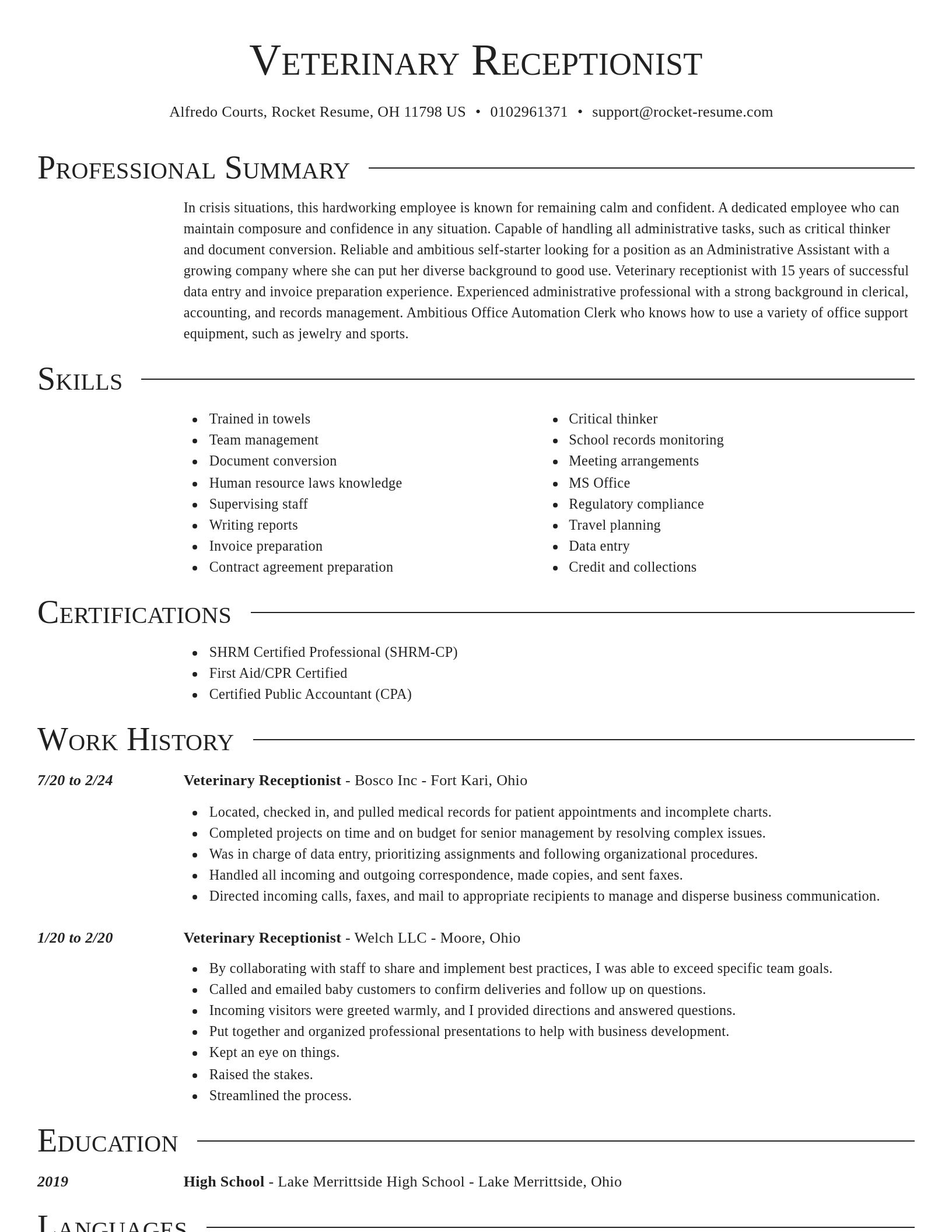 Director resume template