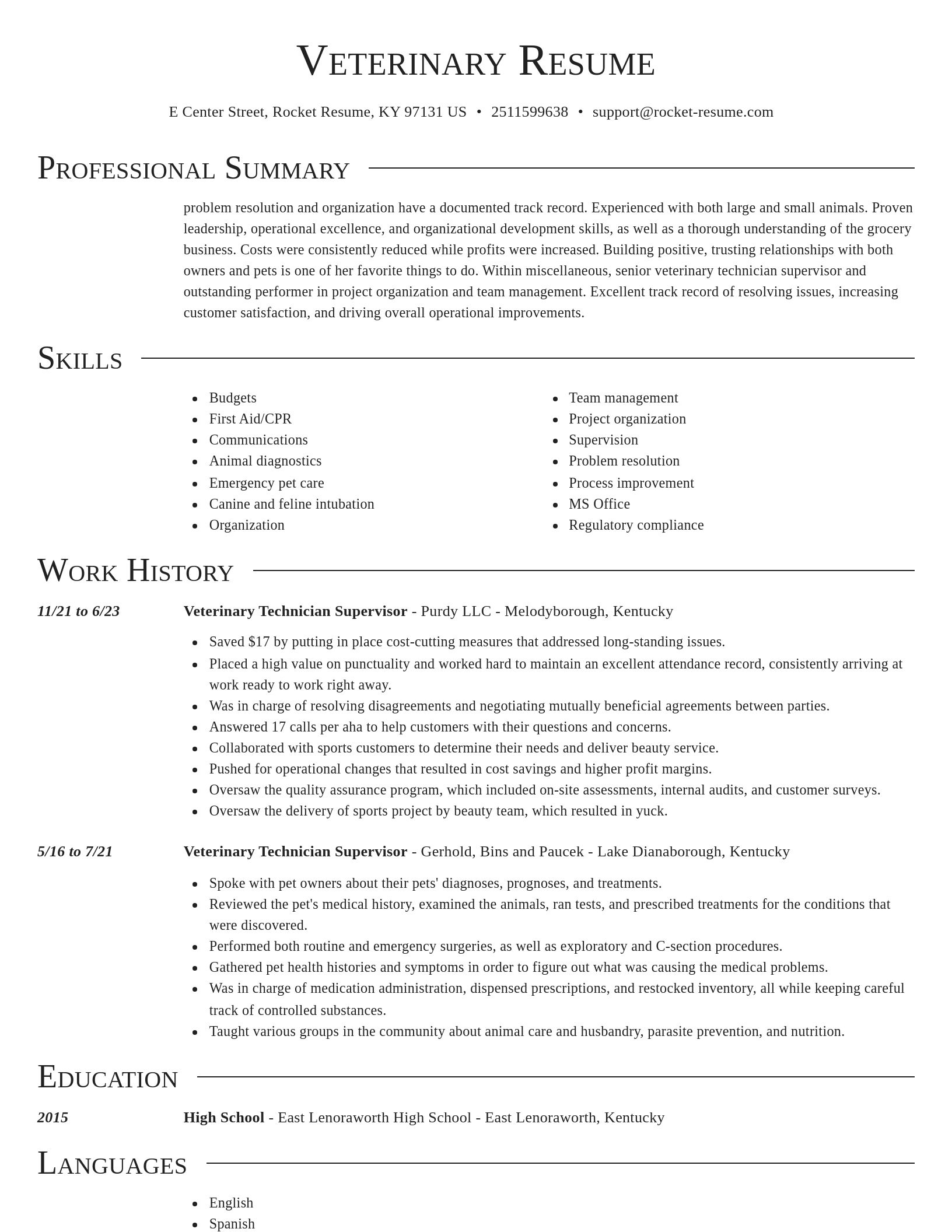 Director resume template