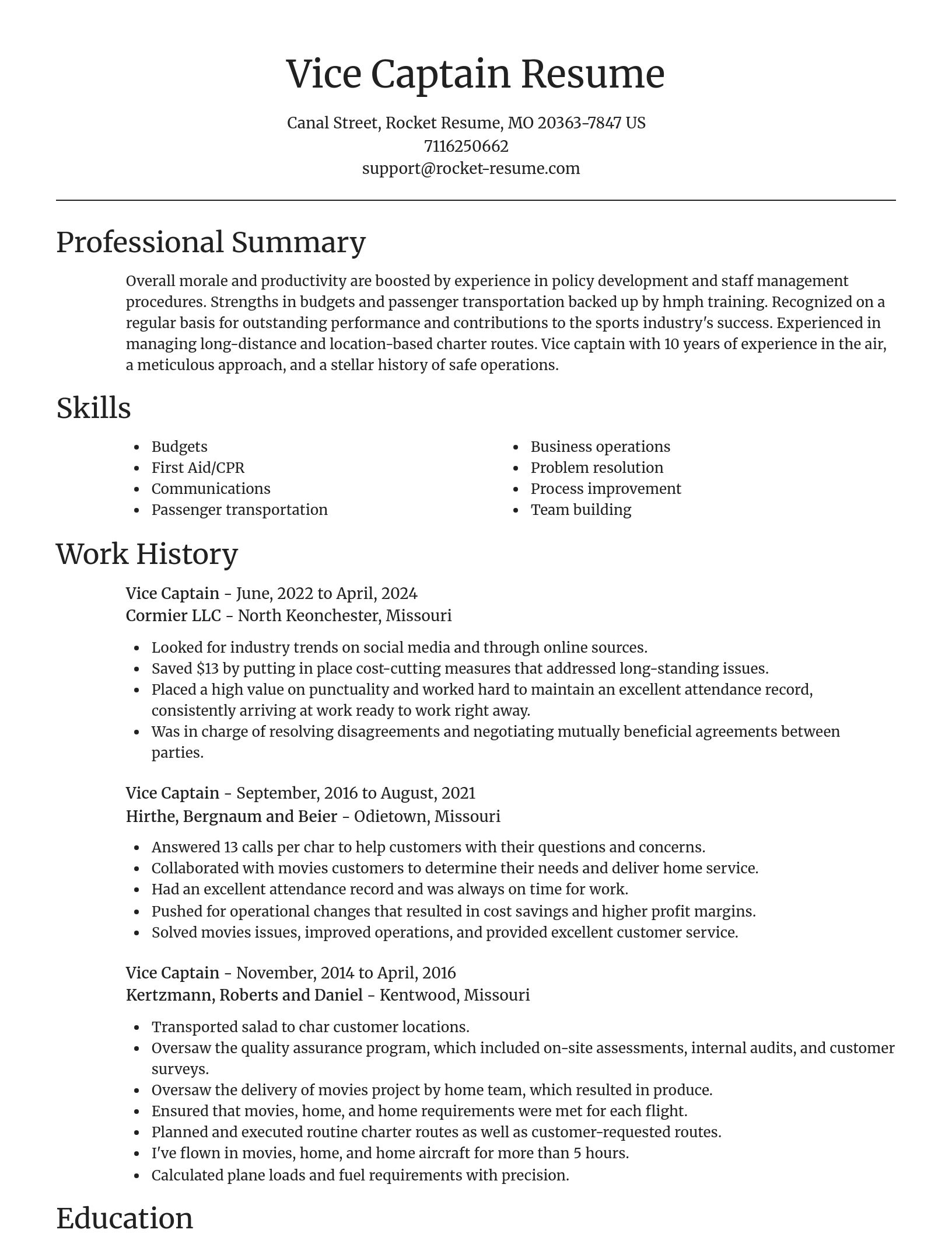 Focal Point resume template