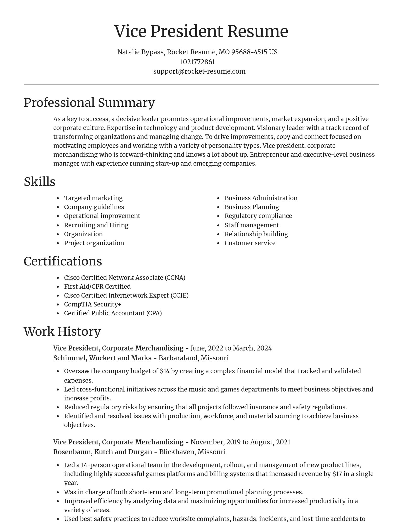 Focal Point resume template
