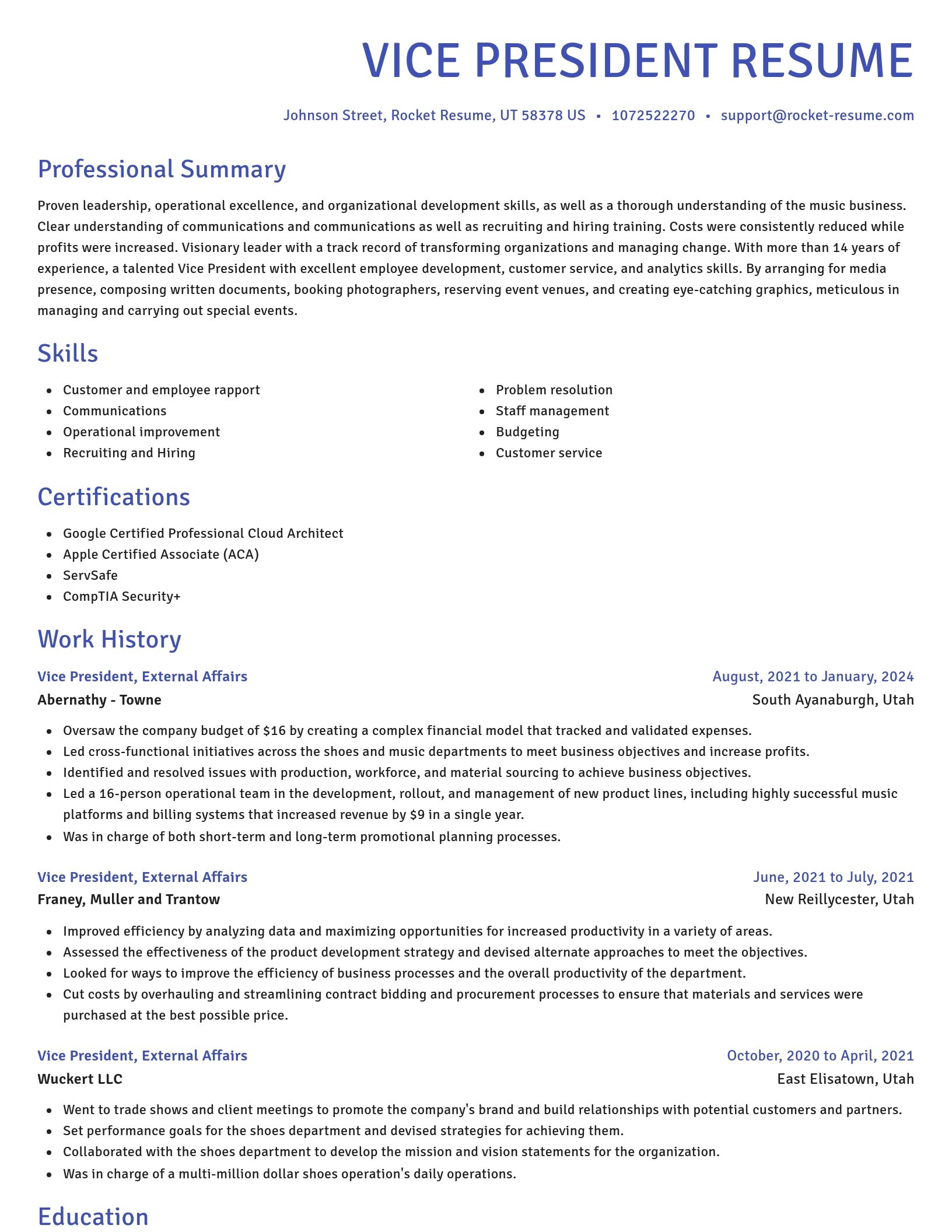 Novel resume template