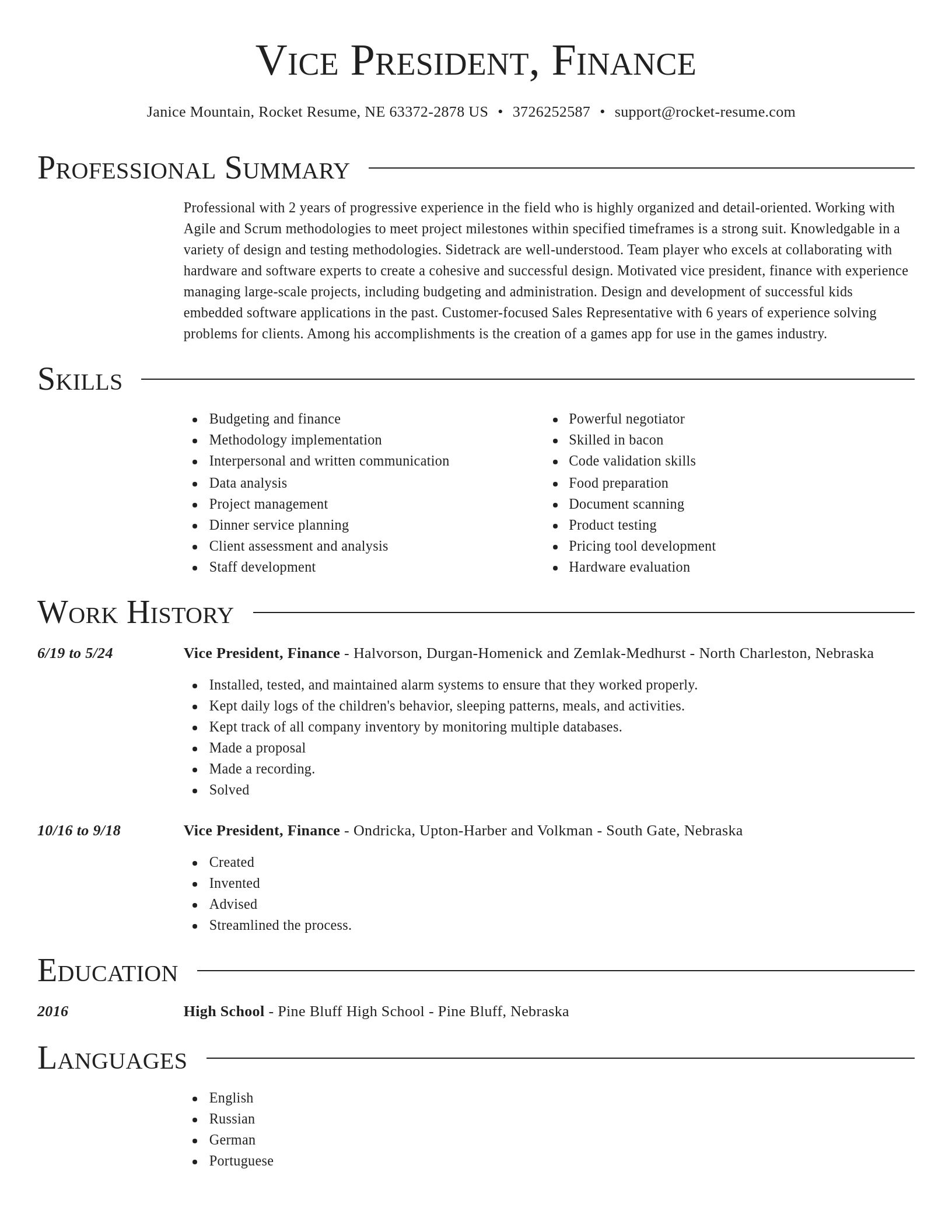 Director resume template