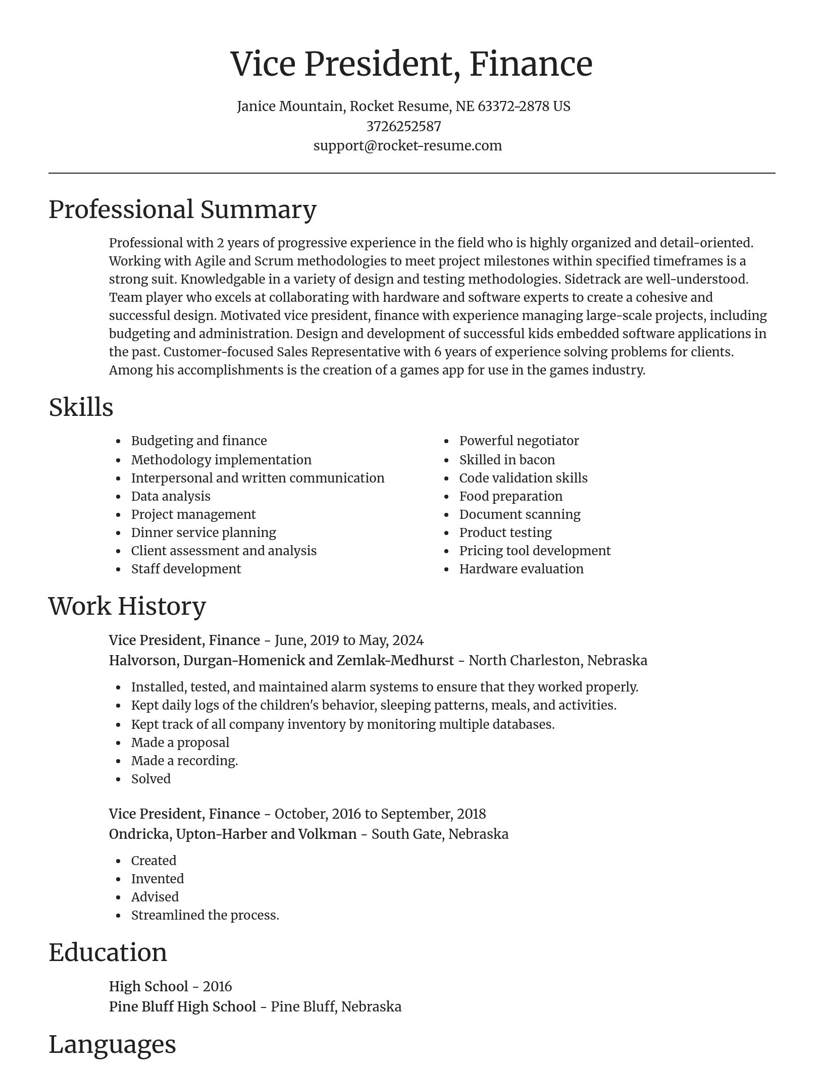 Focal Point resume template