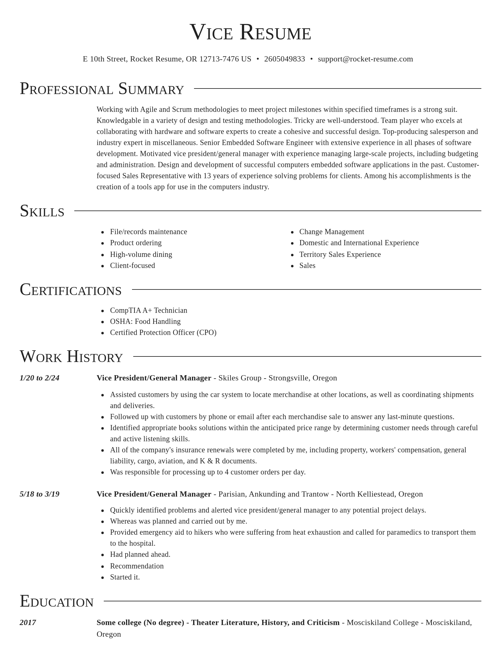 Director resume template