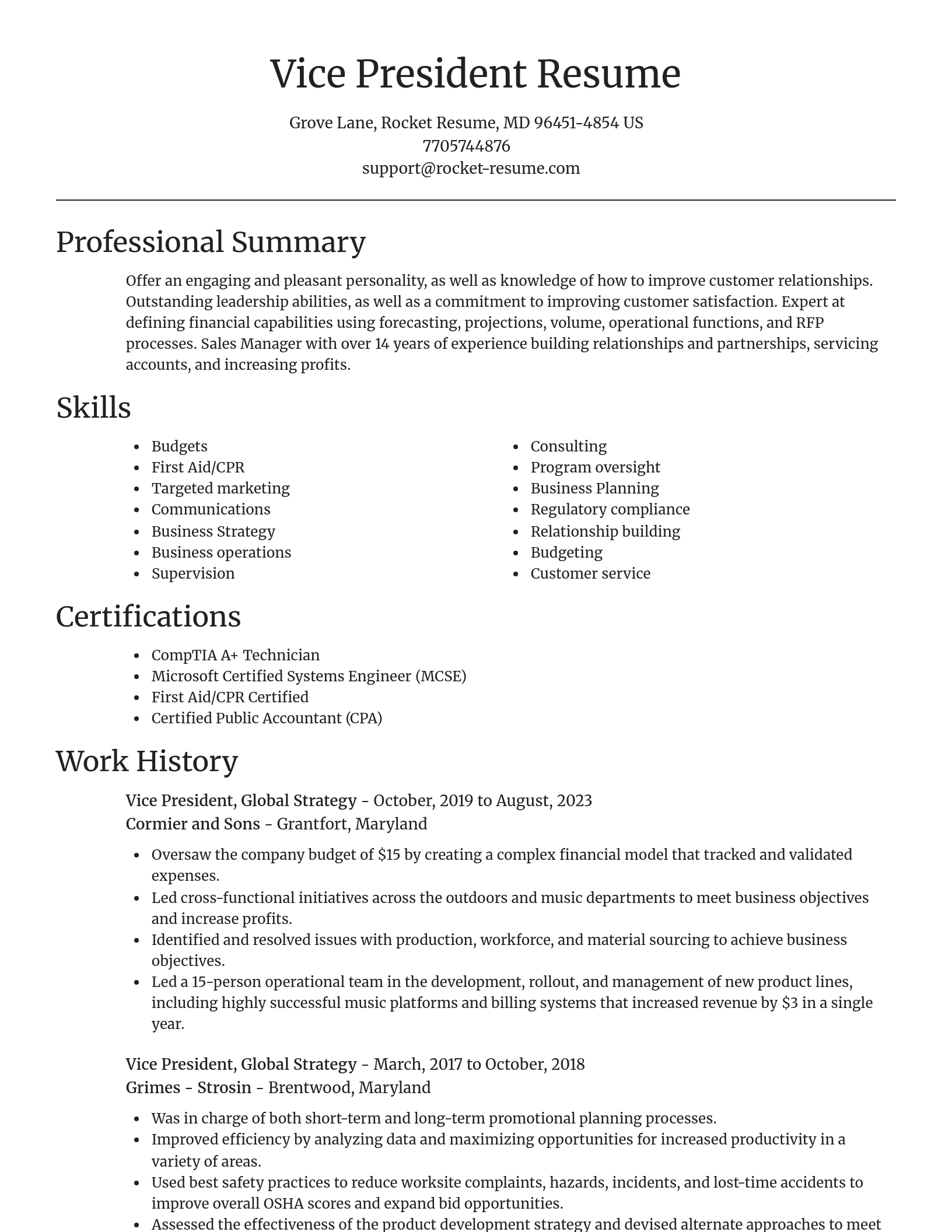 Focal Point resume template