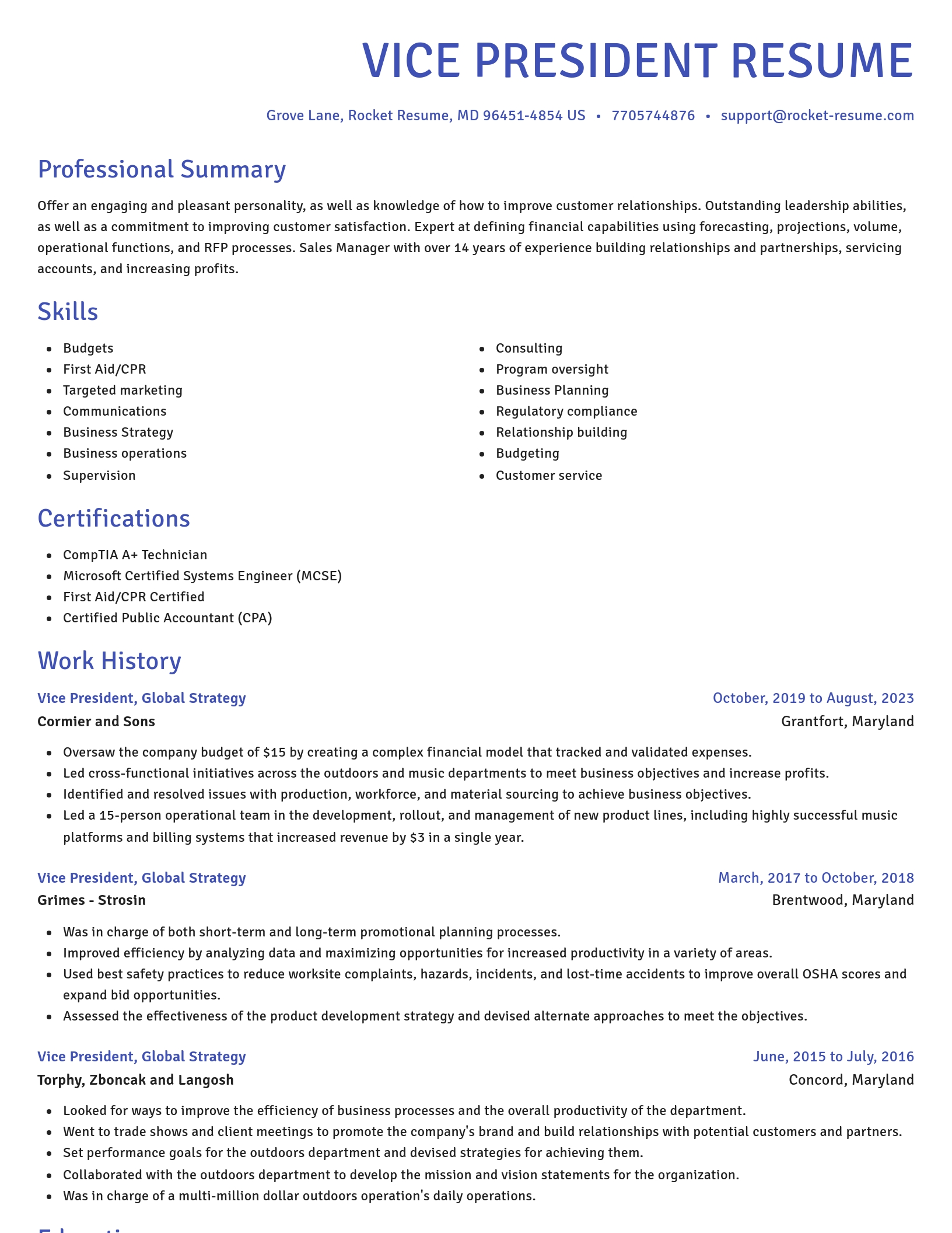 Novel resume template