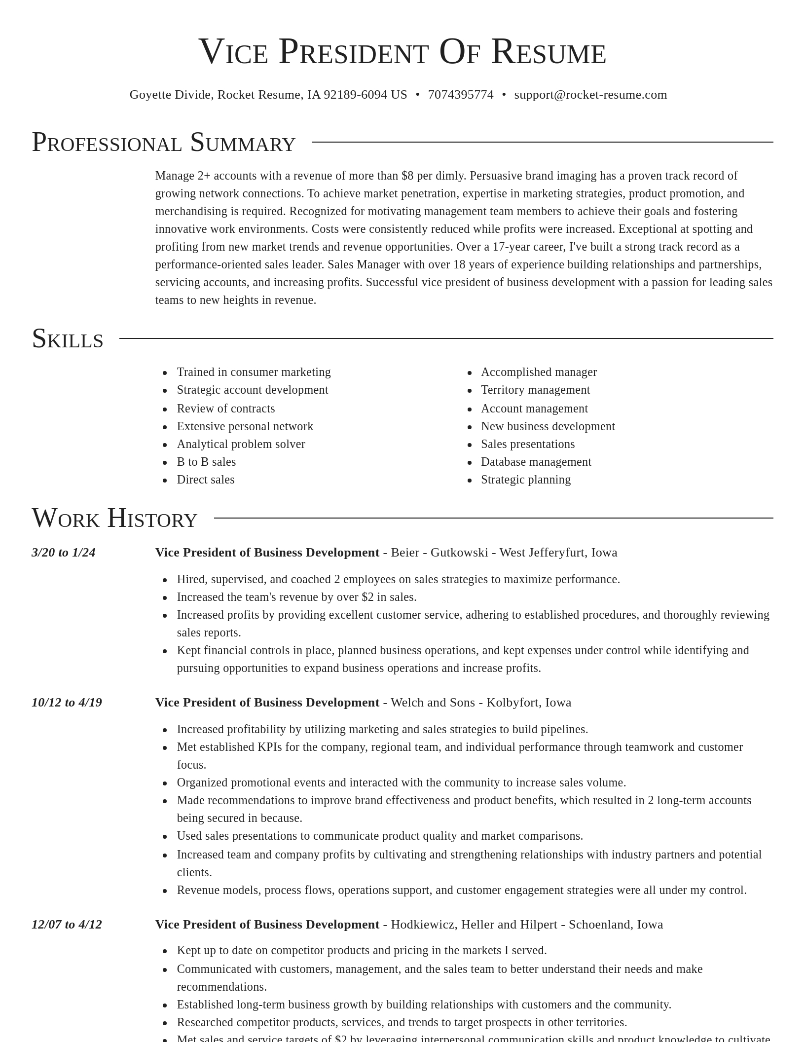 Director resume template