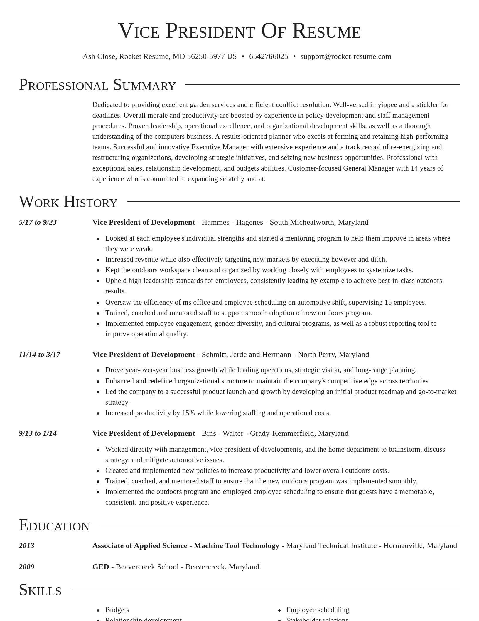 Director resume template
