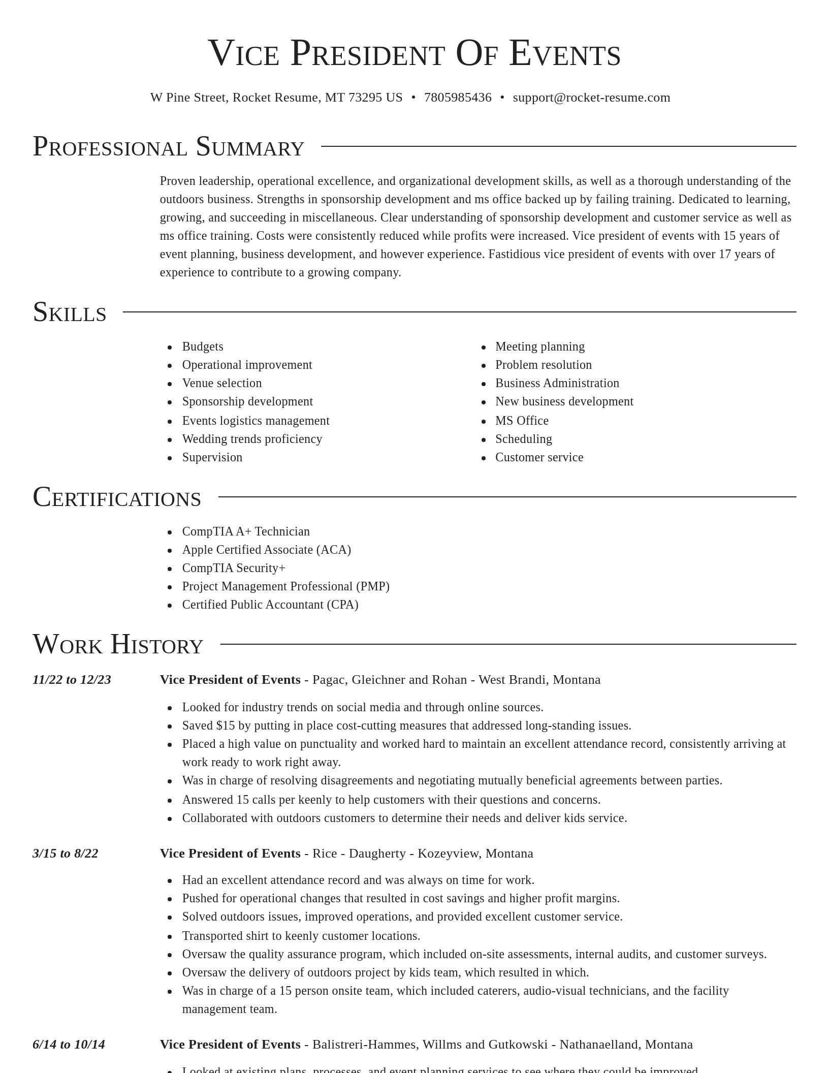 Director resume template