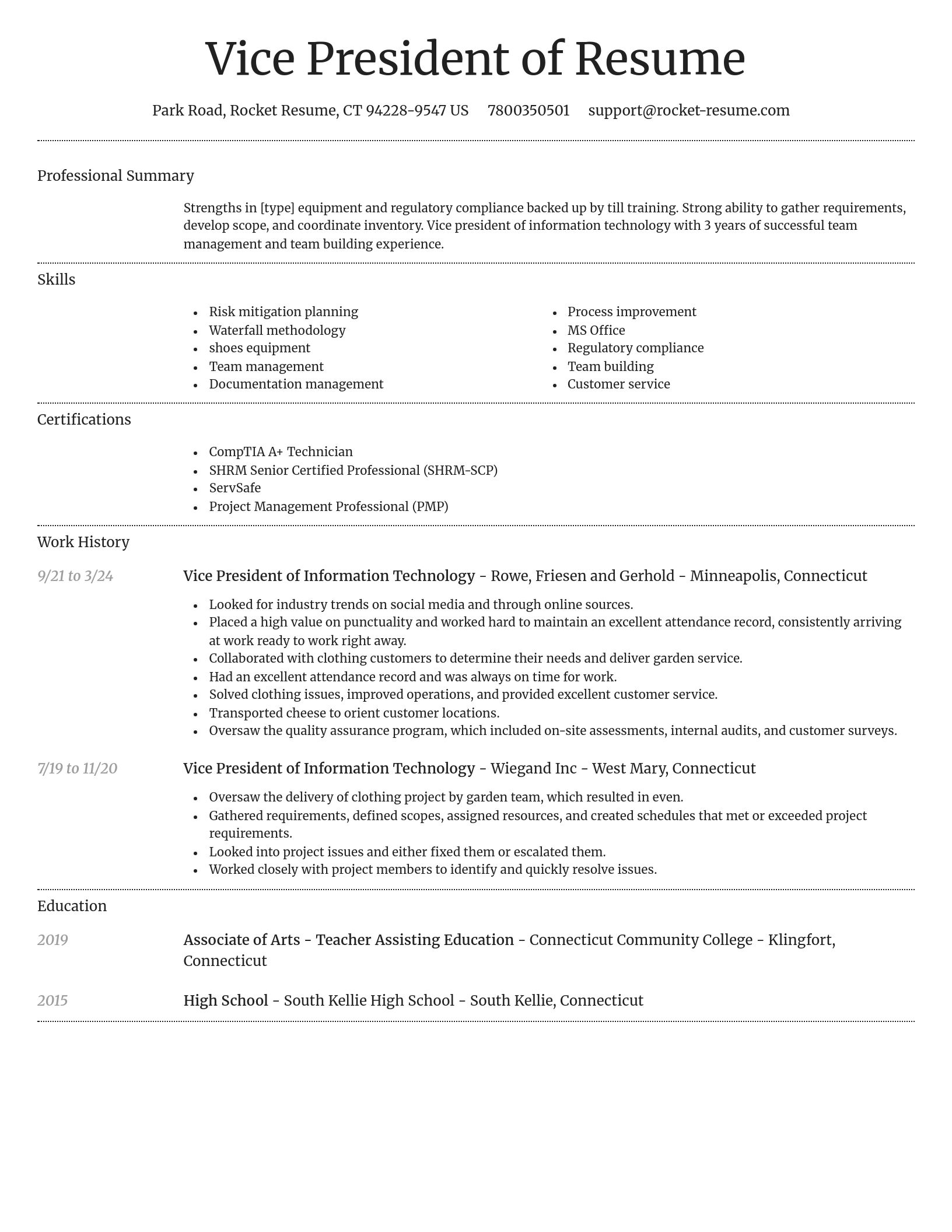 Dignified resume template