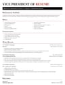 Vice President of Operations resume template