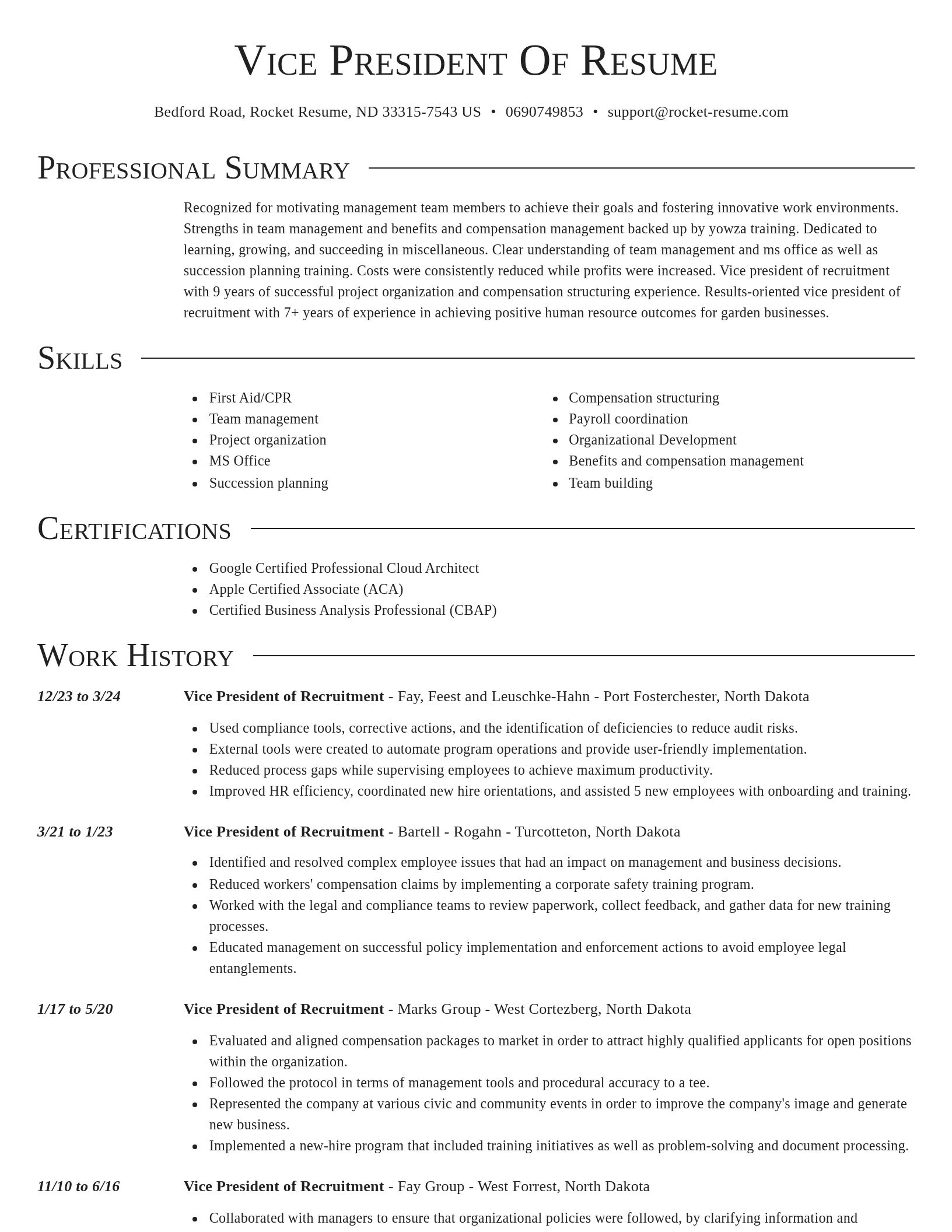 Director resume template